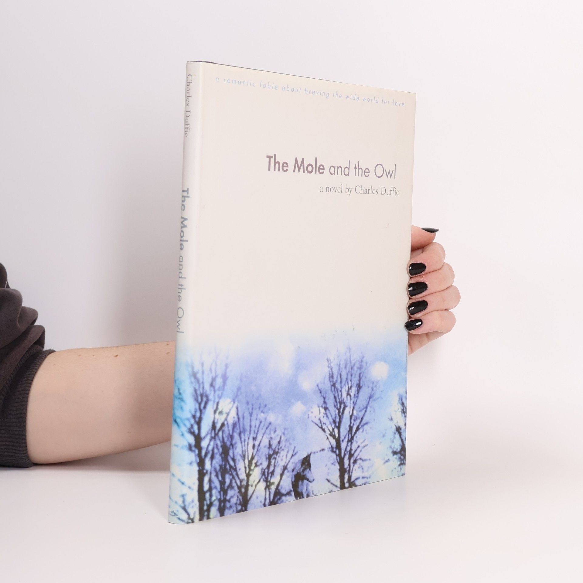 Charles Duffie The Mole and the Owl