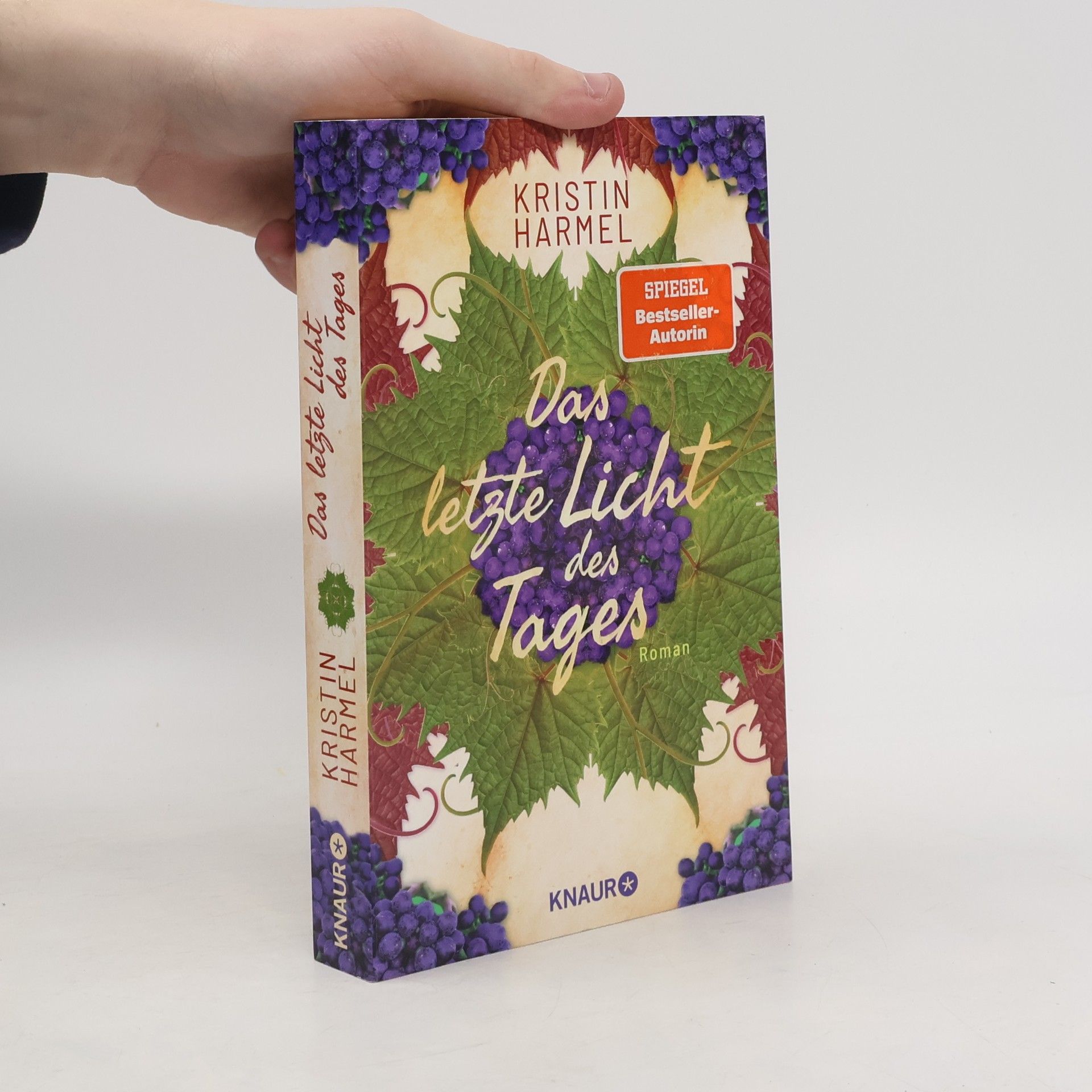 Kristin Harmel Das letzte Licht des Tages