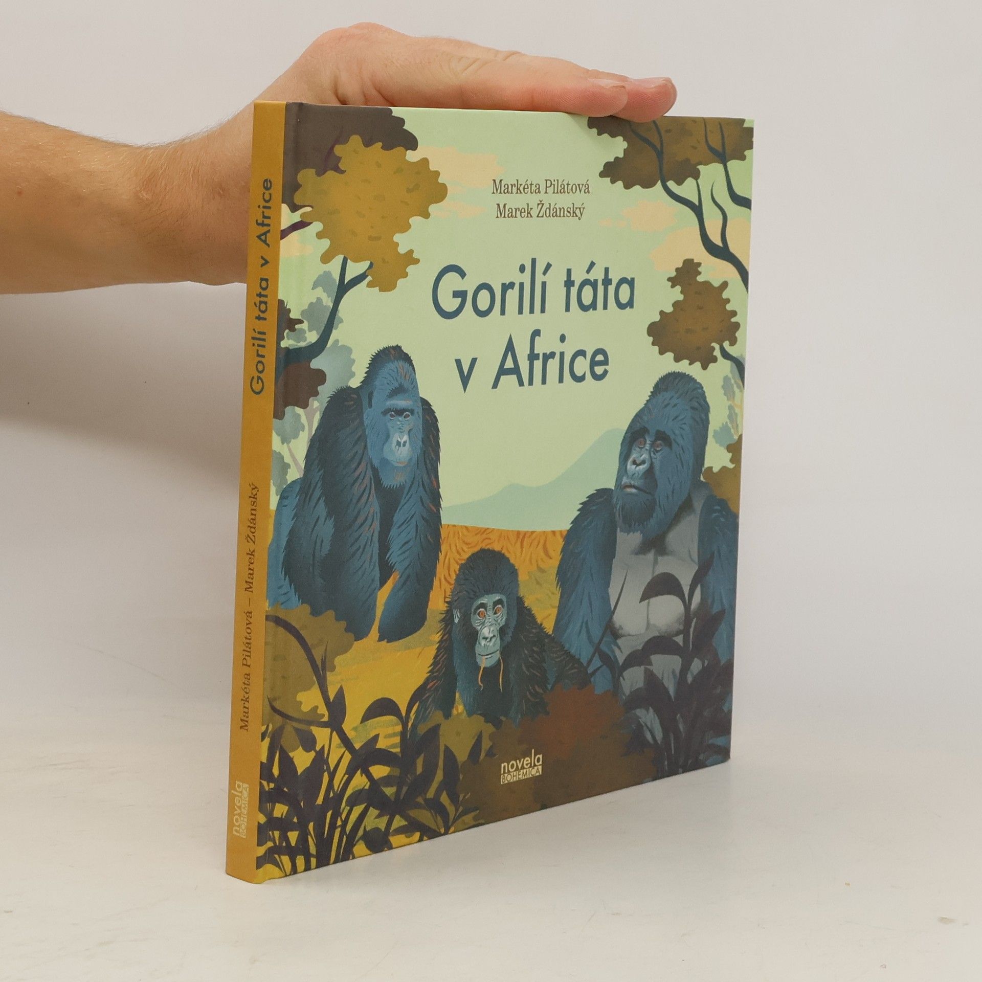 Gorilí táta v Africe