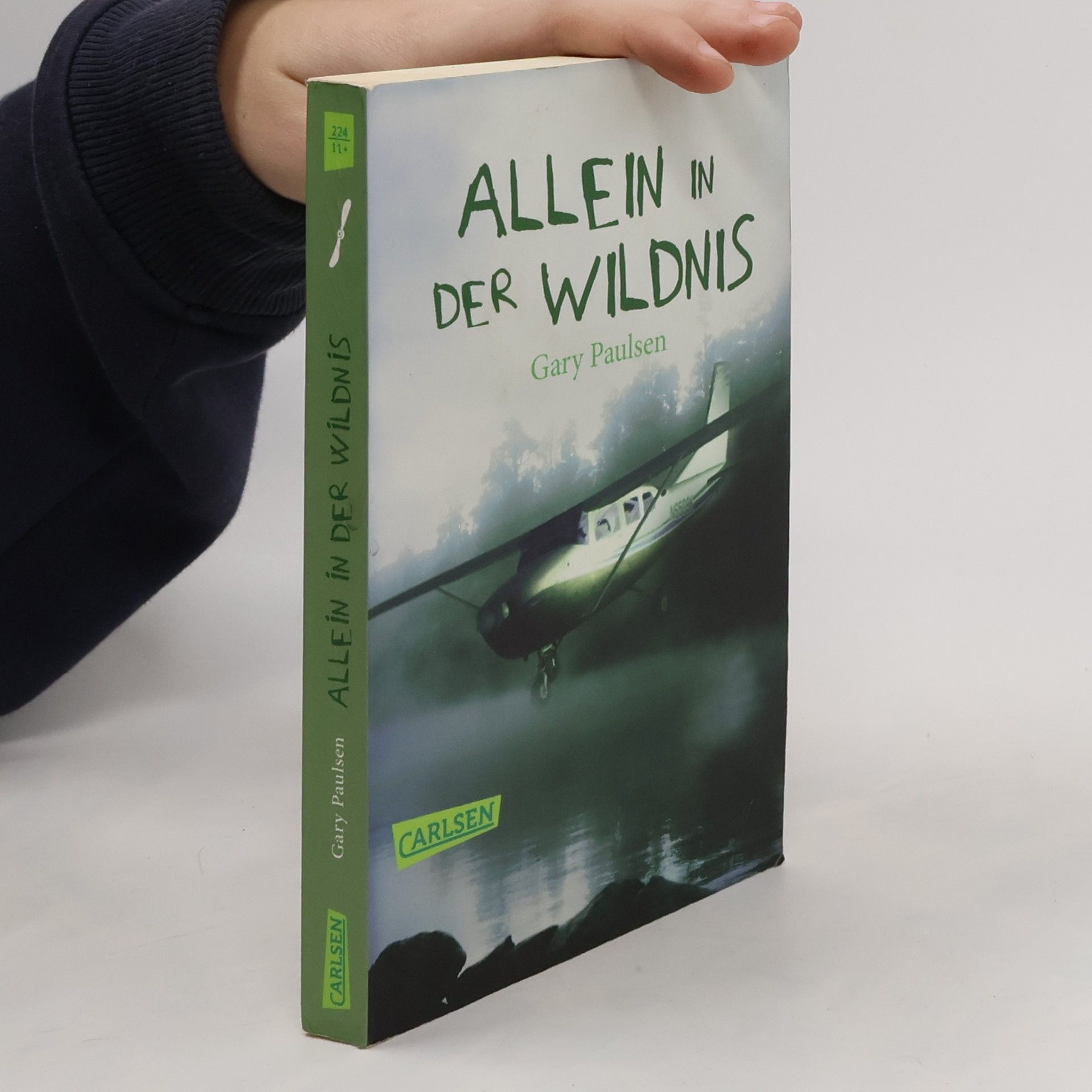 Gary Paulsen Allein in der Wildnis