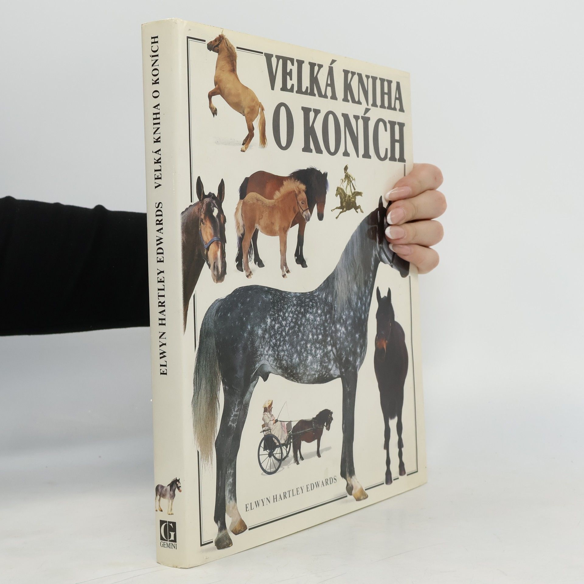 Elwyn Hartley Edwards Velká kniha o koních