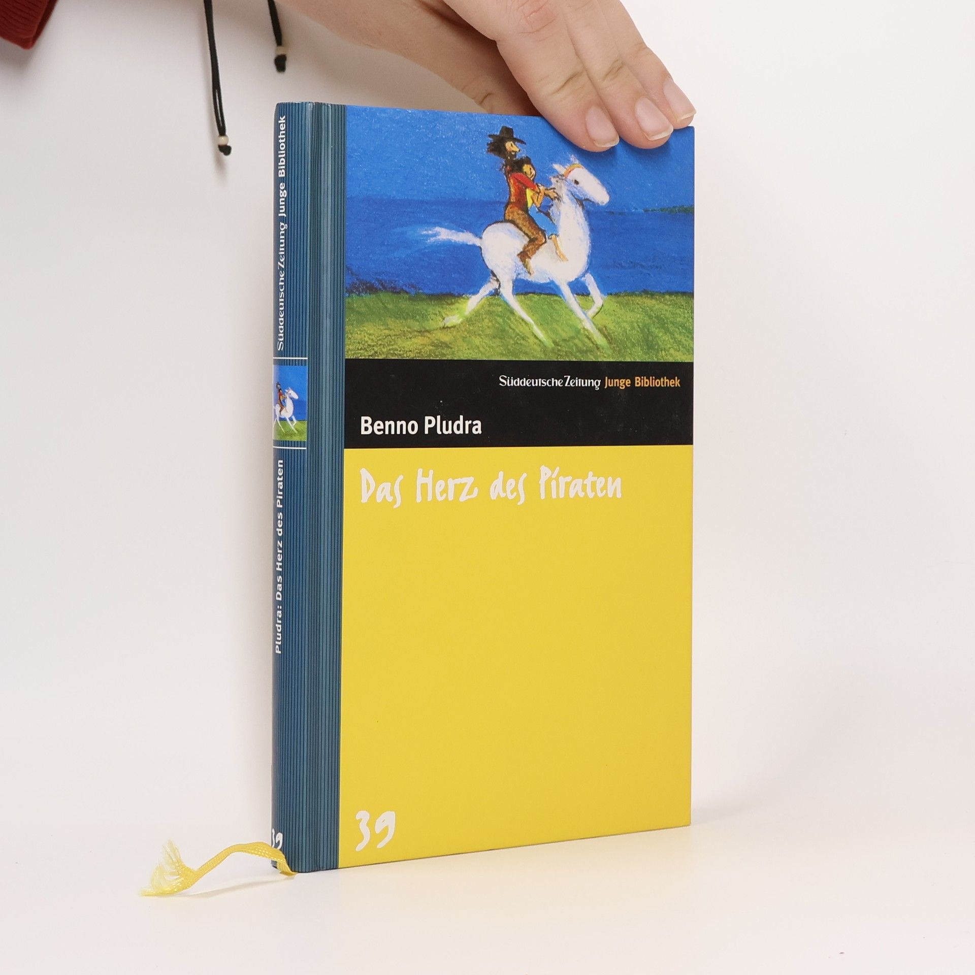 Das Herz des Piraten