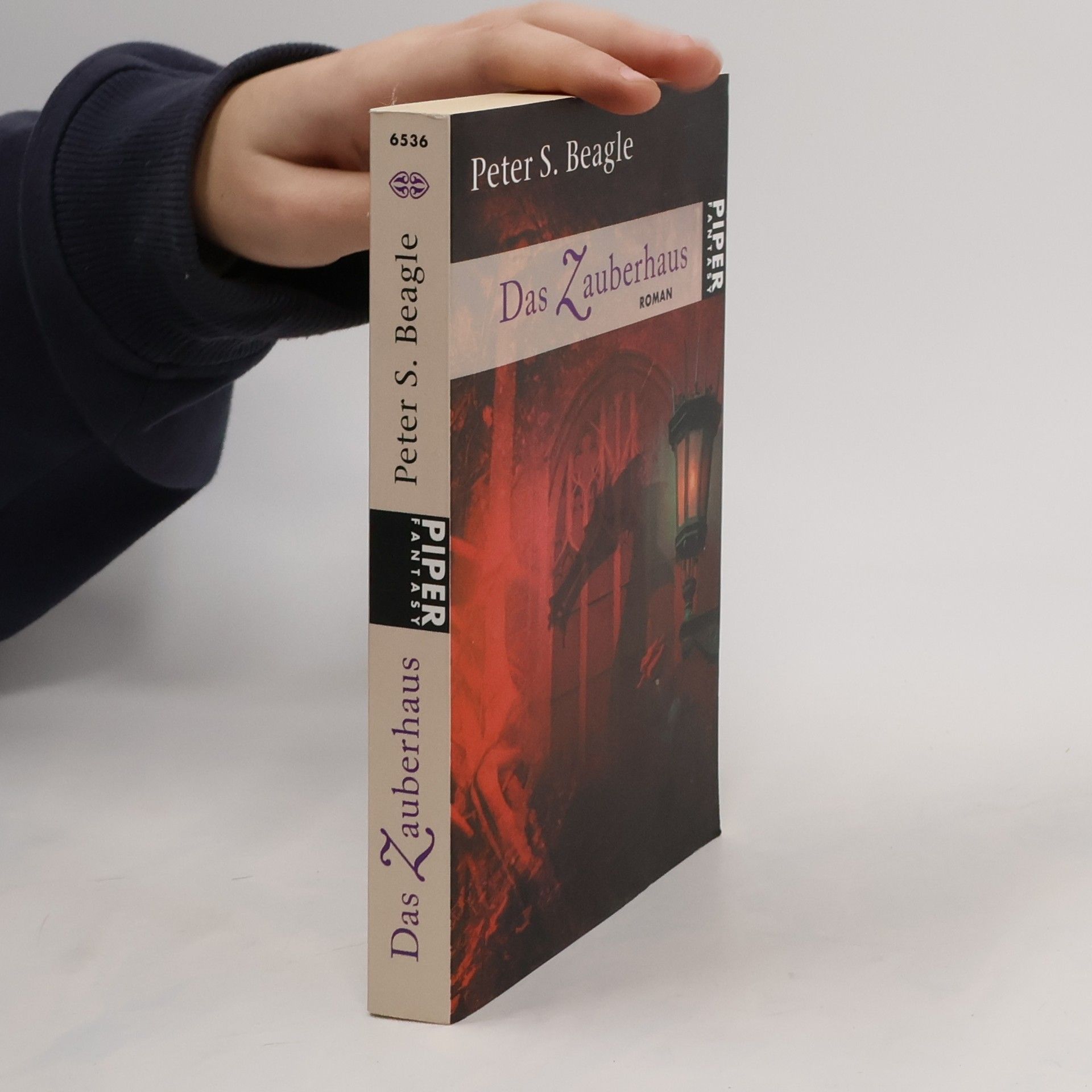 Das Zauberhaus. Roman