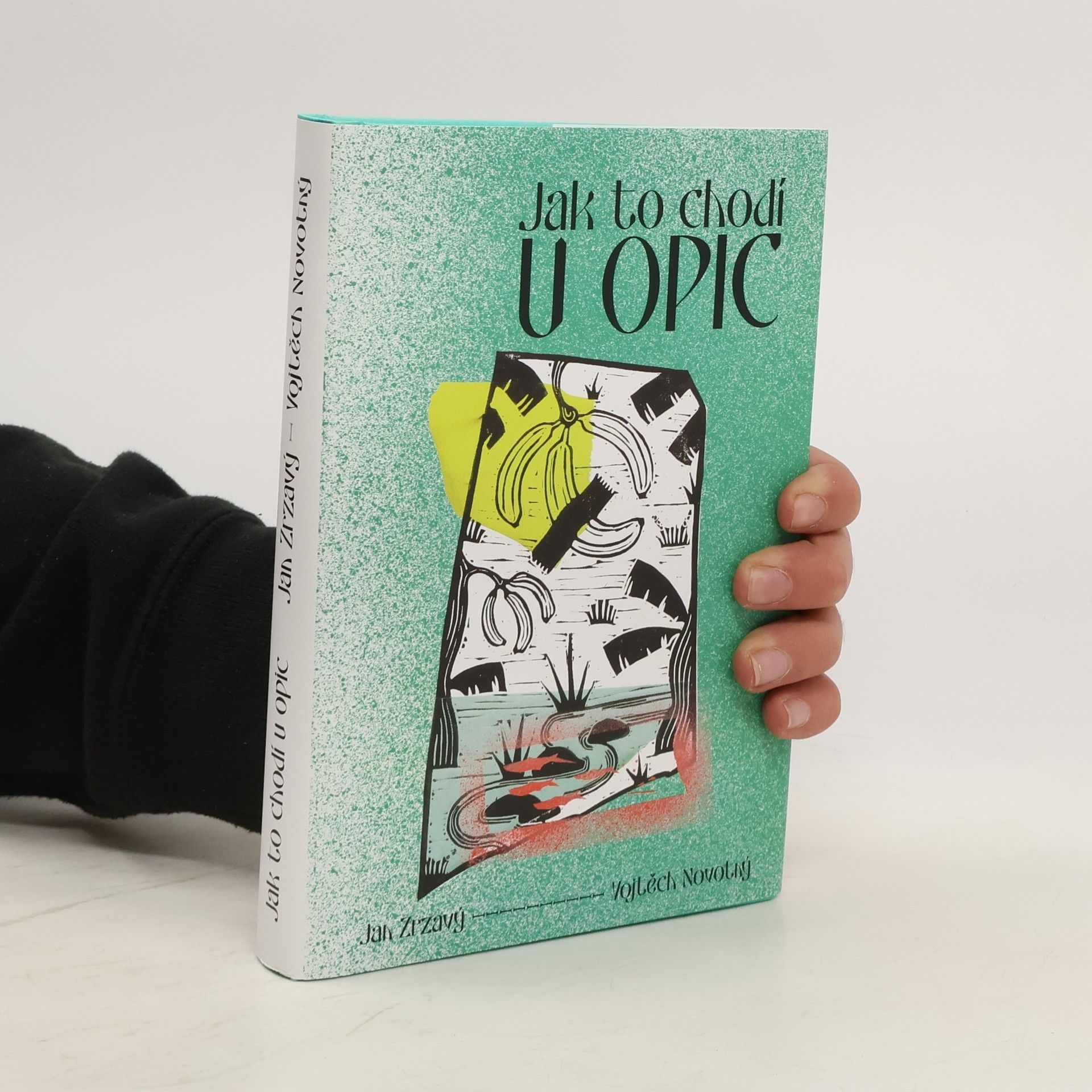 Jak to chodí u opic