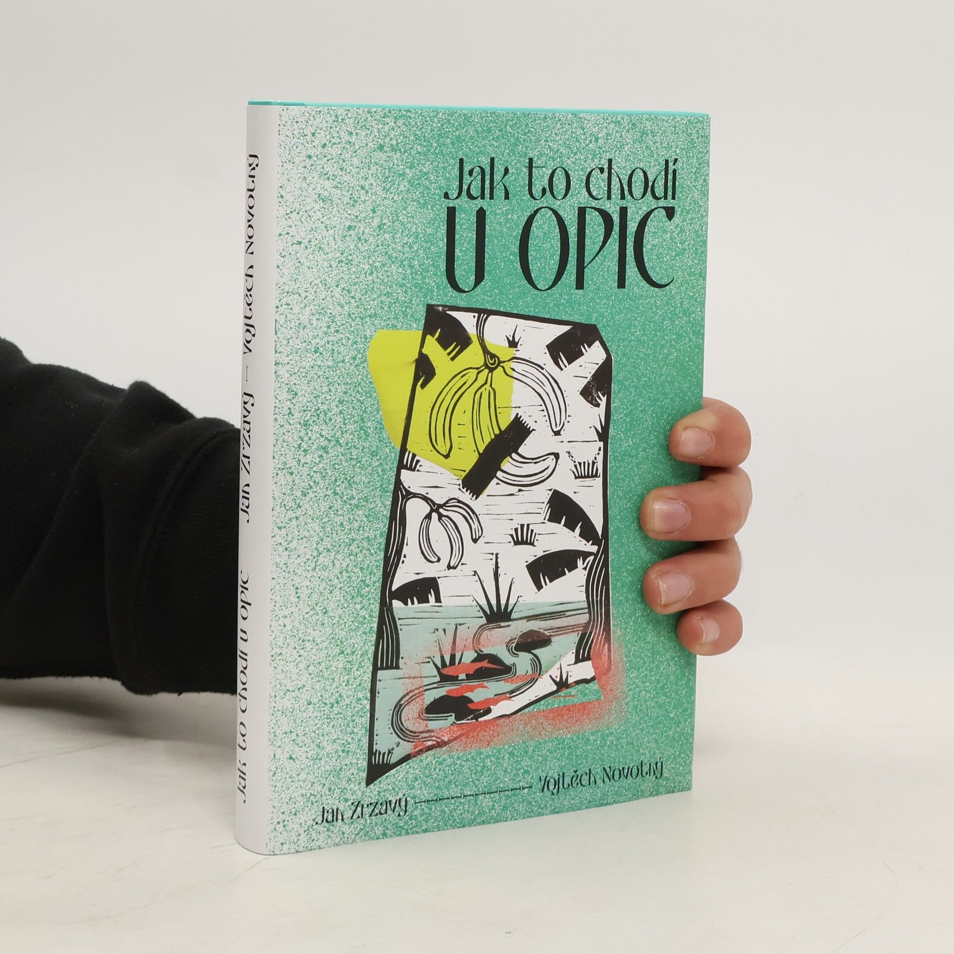 Vojtěch Novotný Jak to chodí u opic