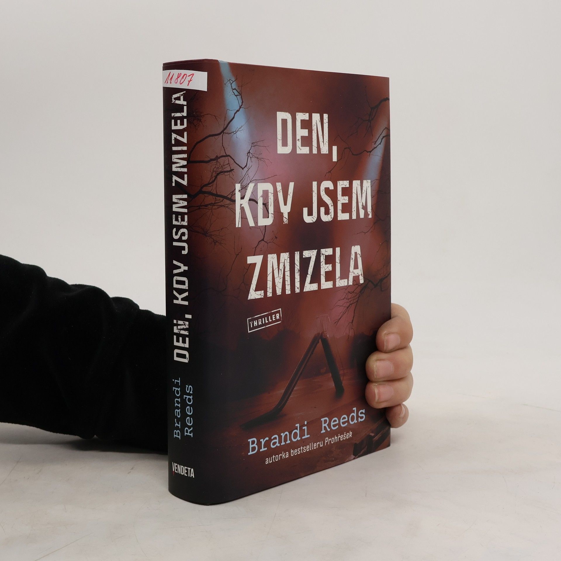 Brandi Reeds Den, kdy jsem zmizela