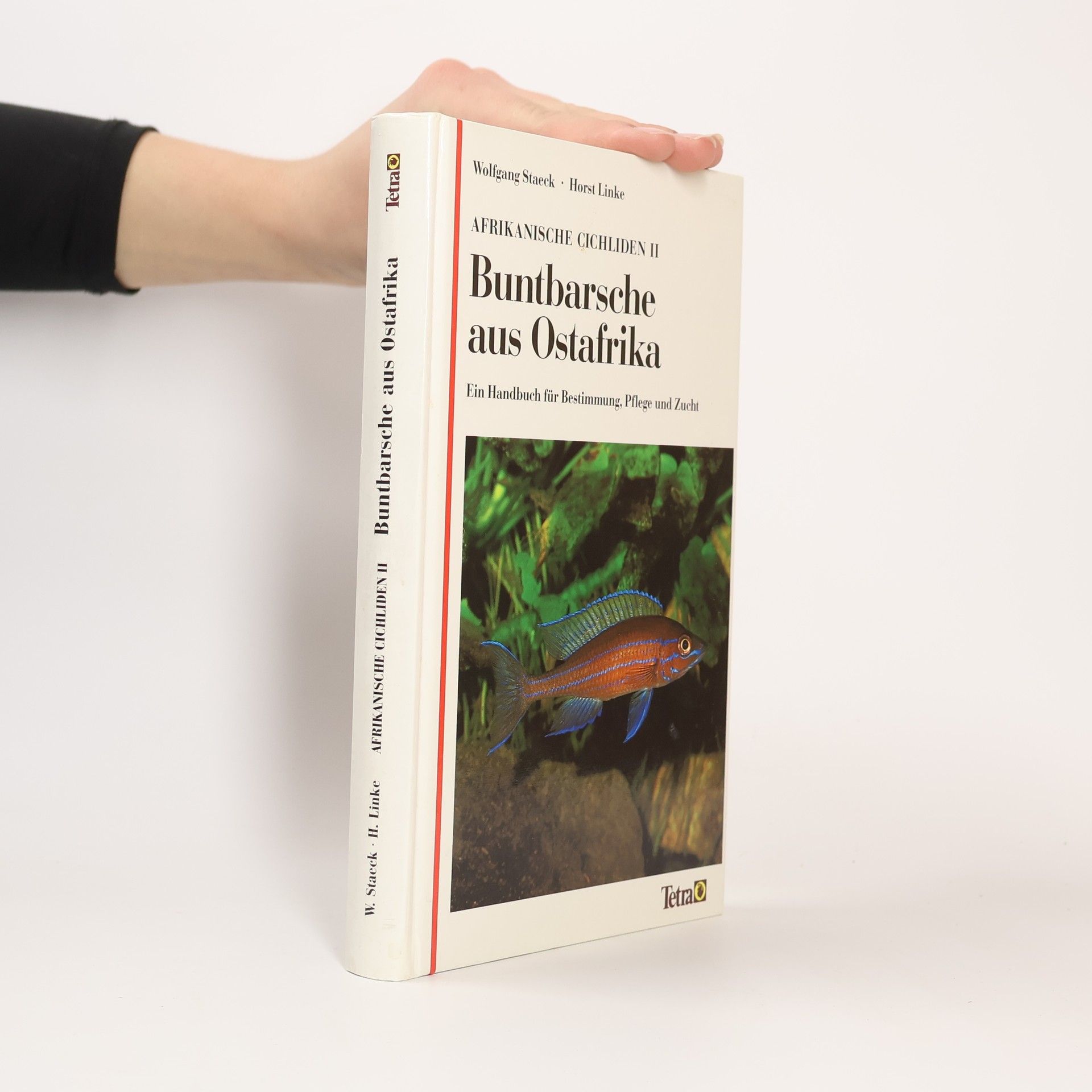 Collectif d'auteurs Afrikanische Cichliden