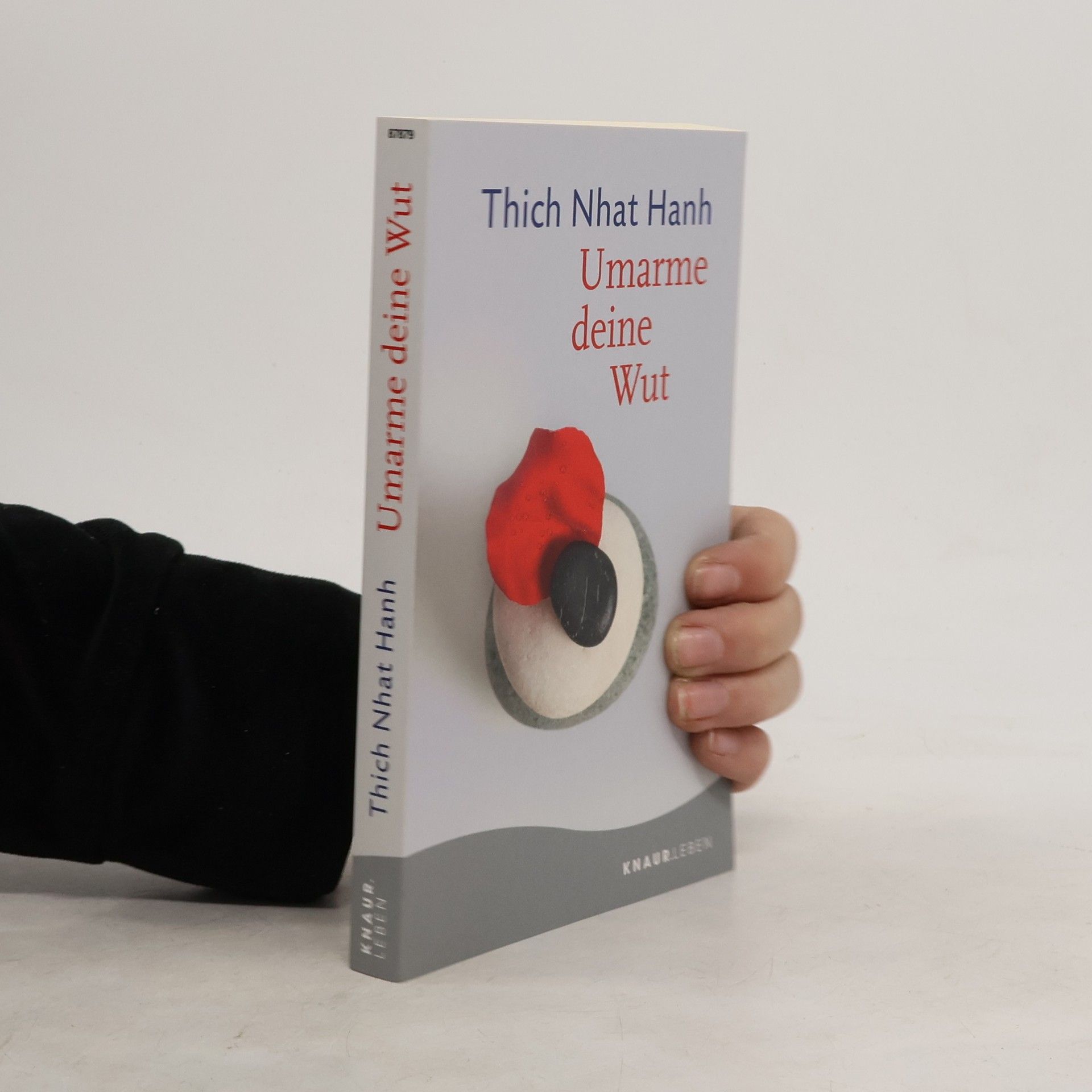 Thích Nhất Hạnh Umarme deine Wut