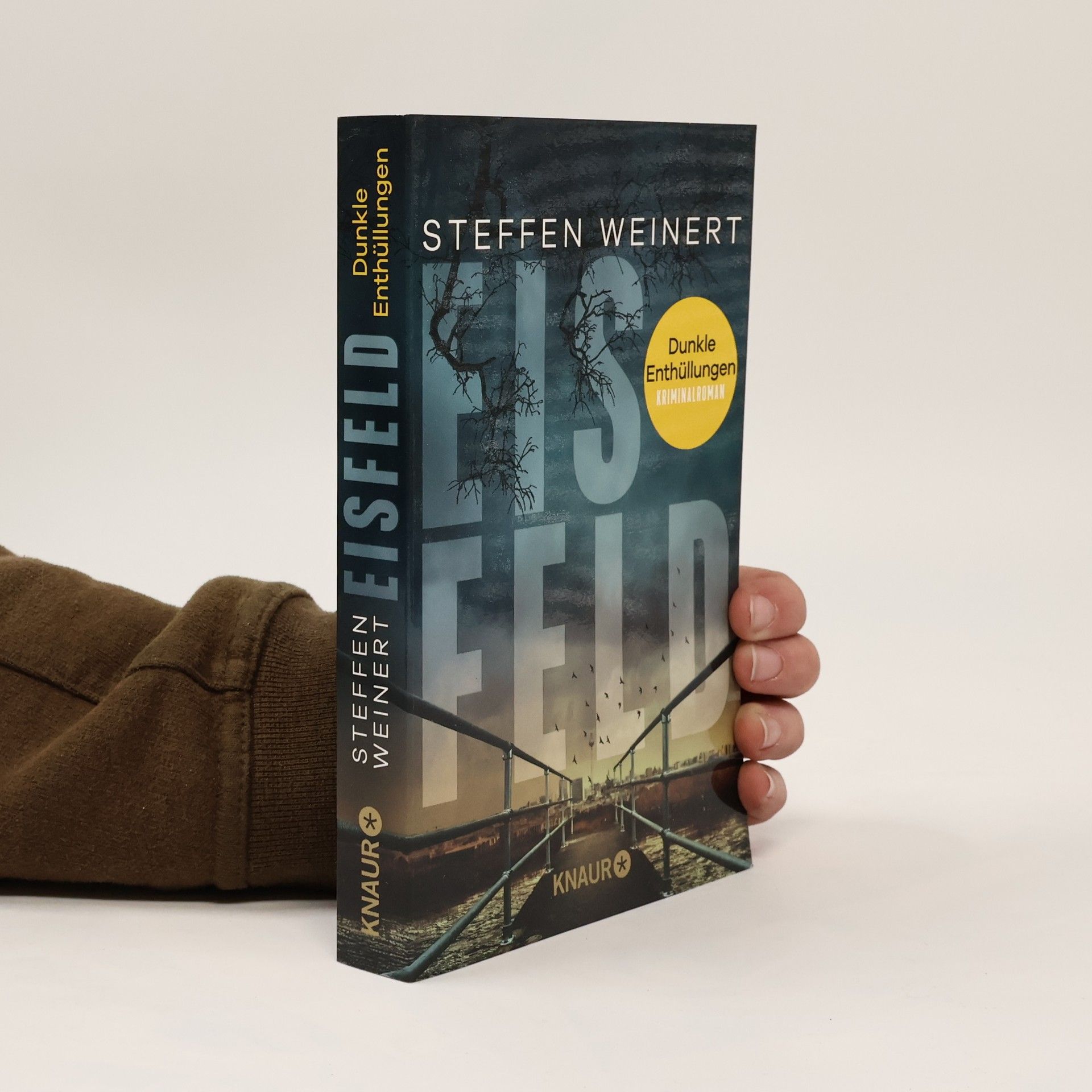 Eisfeld – Dunkle Enthüllungen