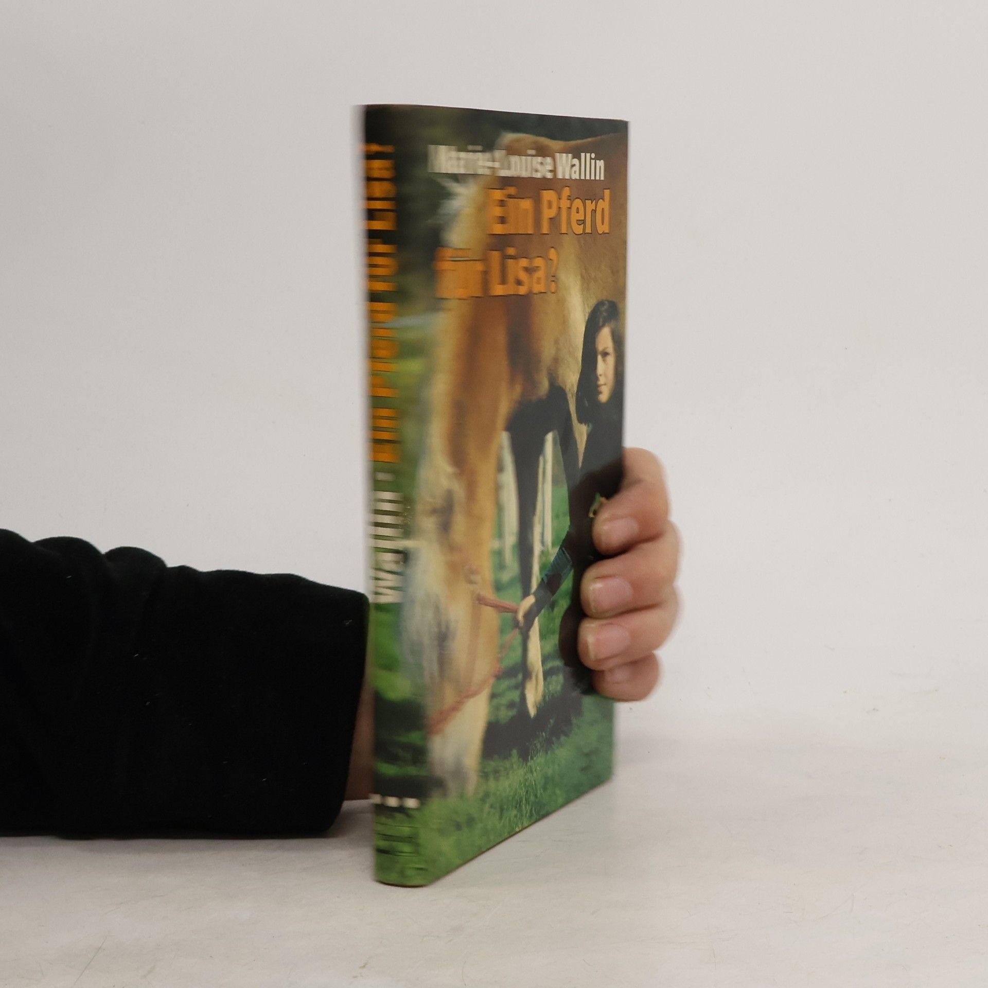 Matzinee-Louise Wallin Ein Pferd für Lisa?