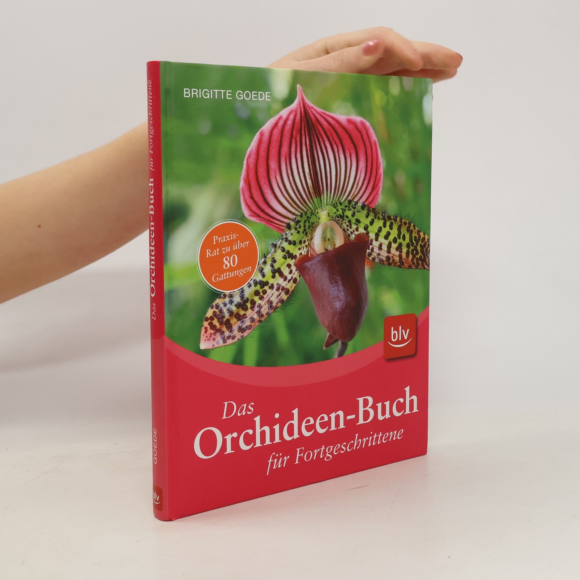 Das Orchideen-Buch für Fortgeschrittene