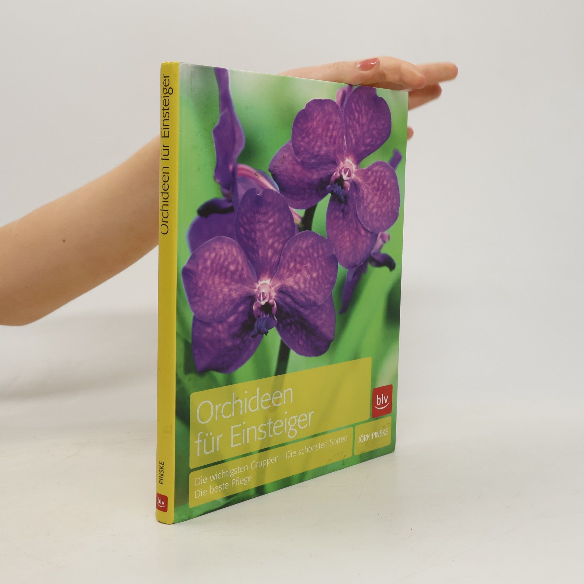 Jörn Pinske Orchideen für Einsteiger