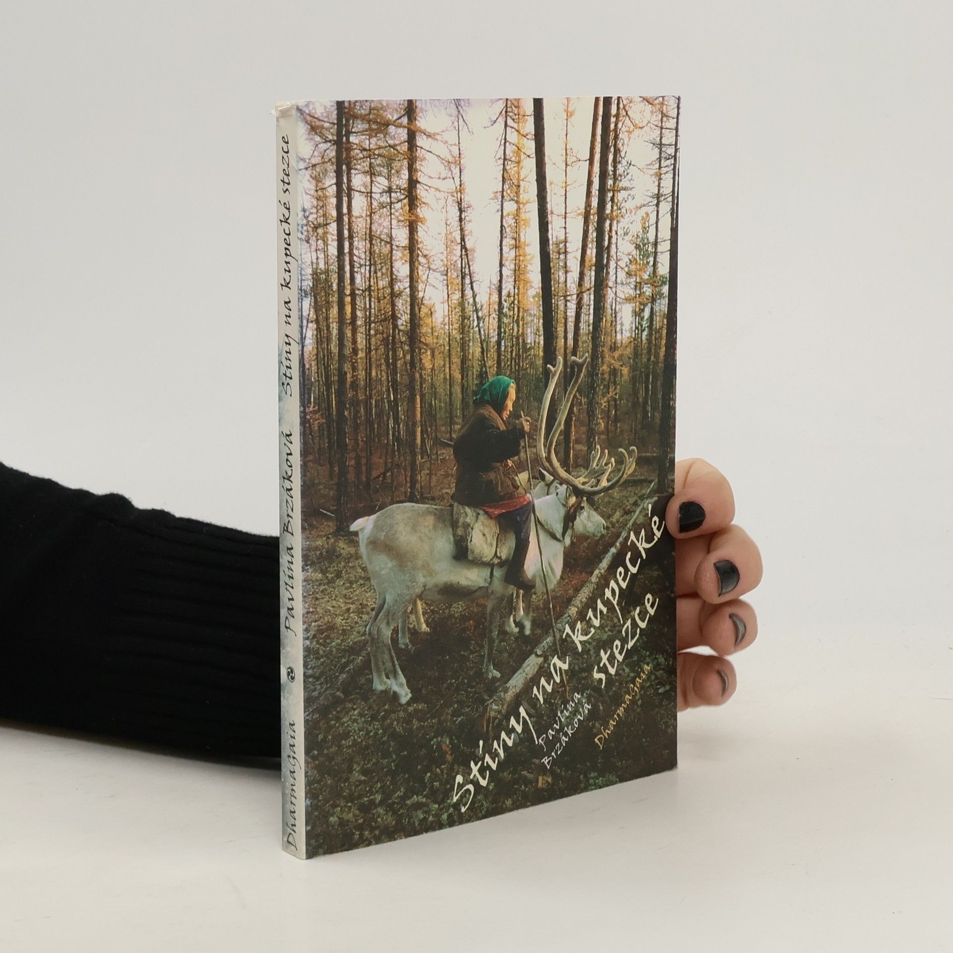 Pavlína Brzáková Stíny na kupecké stezce