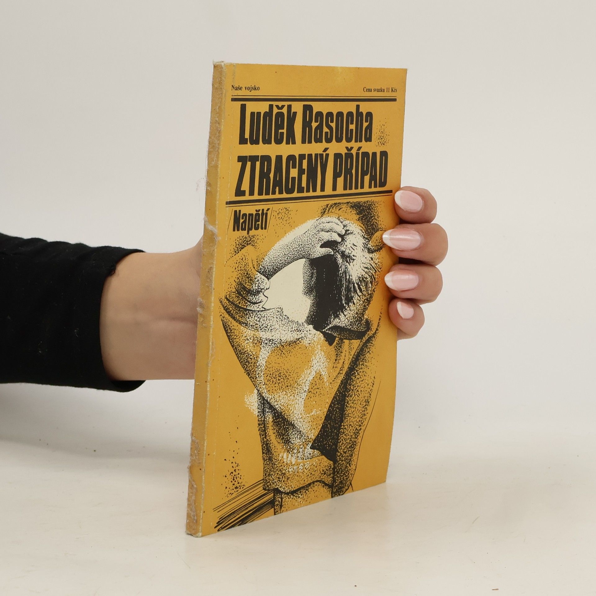 Luděk Rasocha Ztracený případ