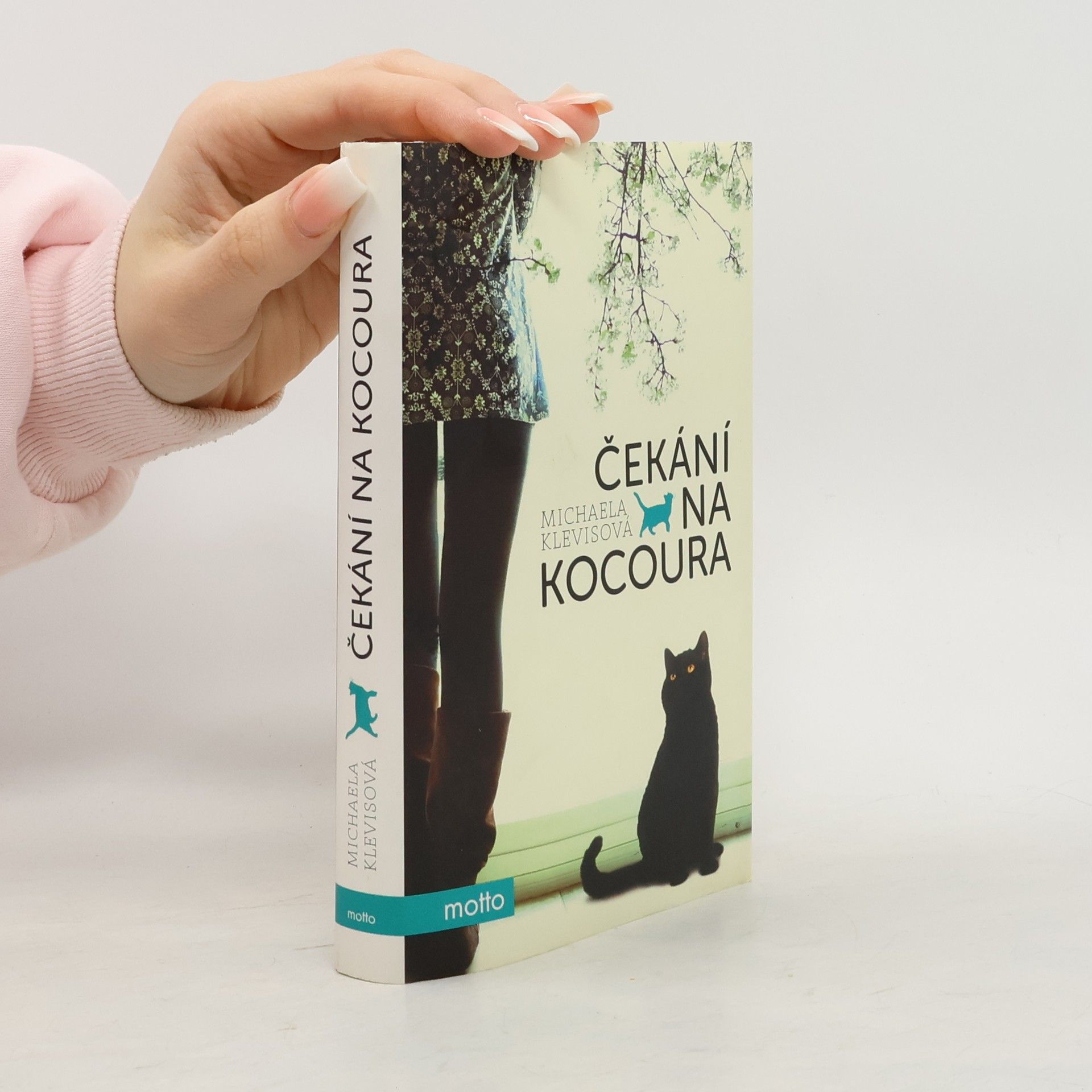 Michaela Klevisová Čekání na kocoura: Příběhy o kočkách a jejich lidech