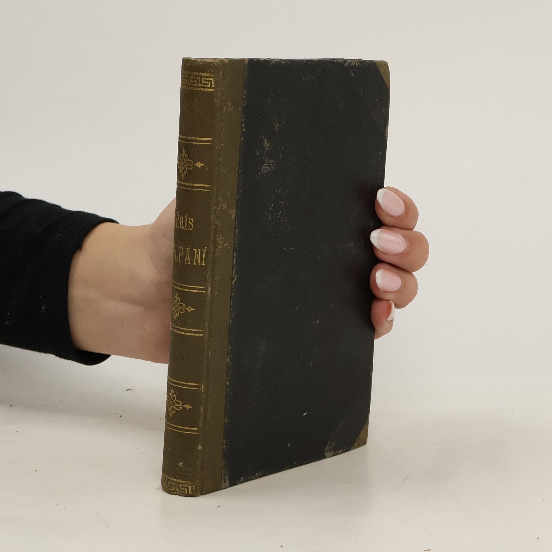 Karel Václav Rais Půlpáni. Dva obrazy