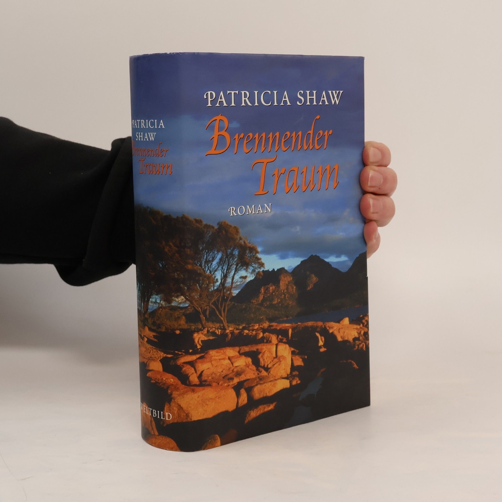 Patricia Shaw Brennender Traum