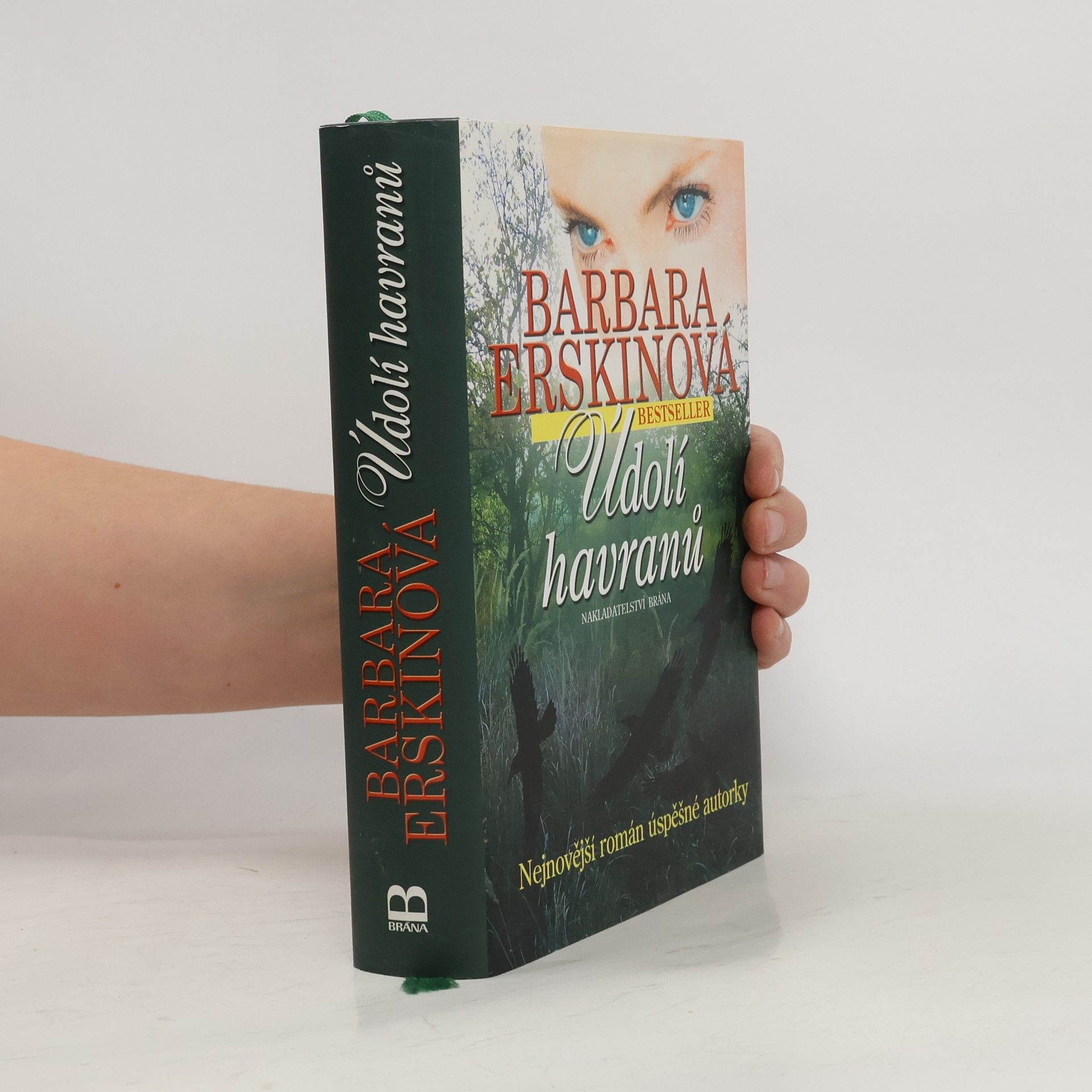 Barbara Erskinová Údolí havranů