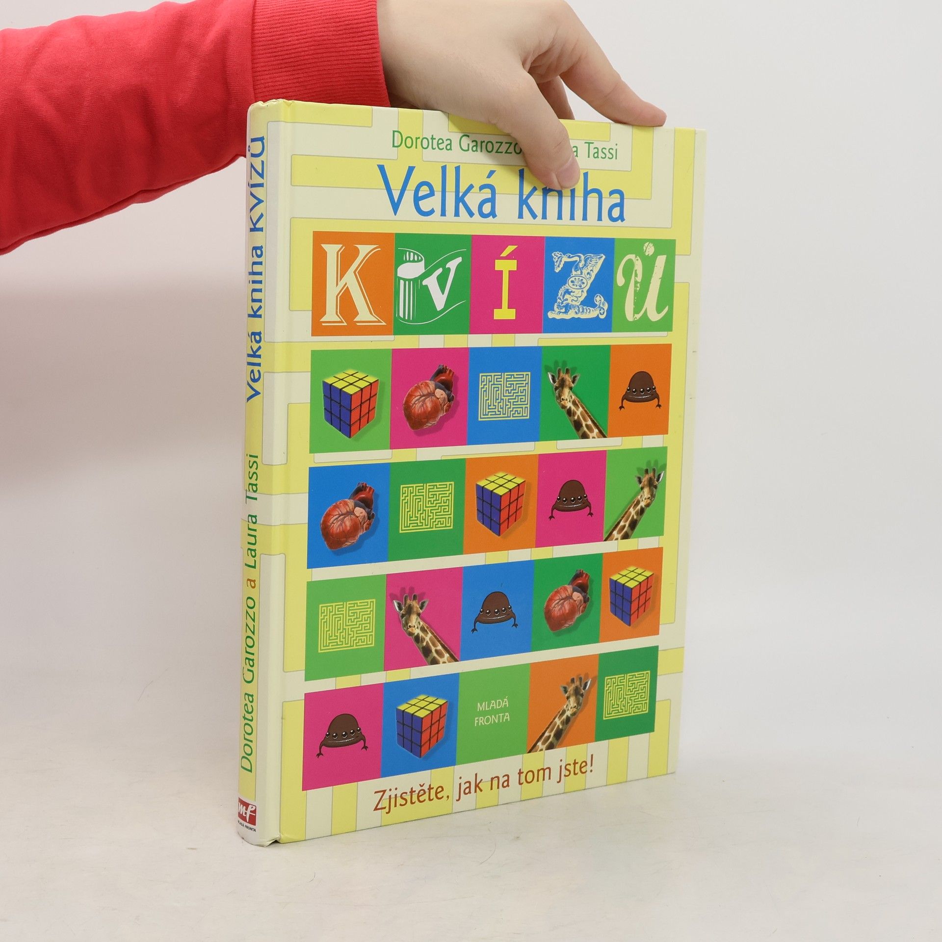 Velká kniha kvízů