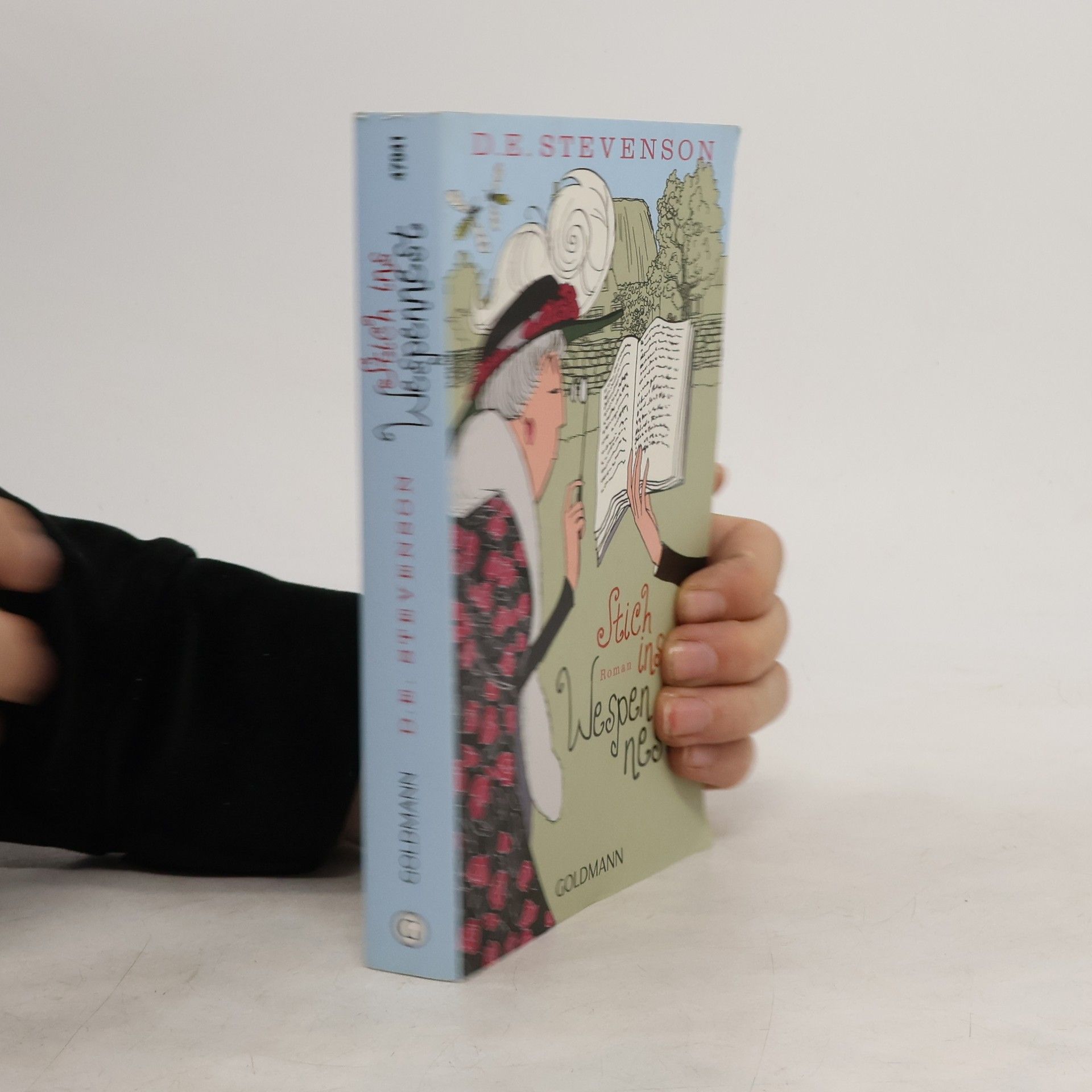 D. E. Stevenson Stich ins Wespennest