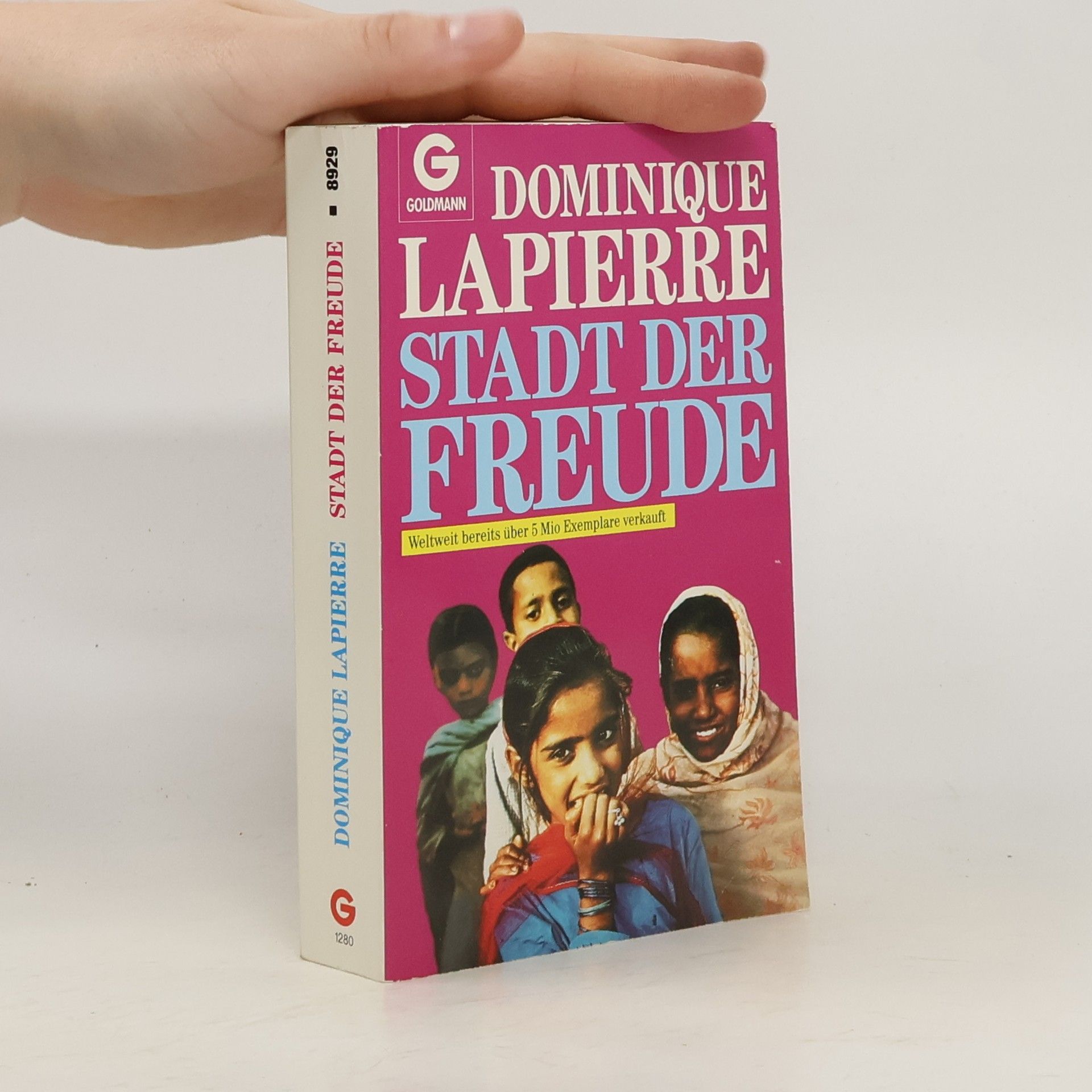 Dominique Lapierre Stadt der Freude