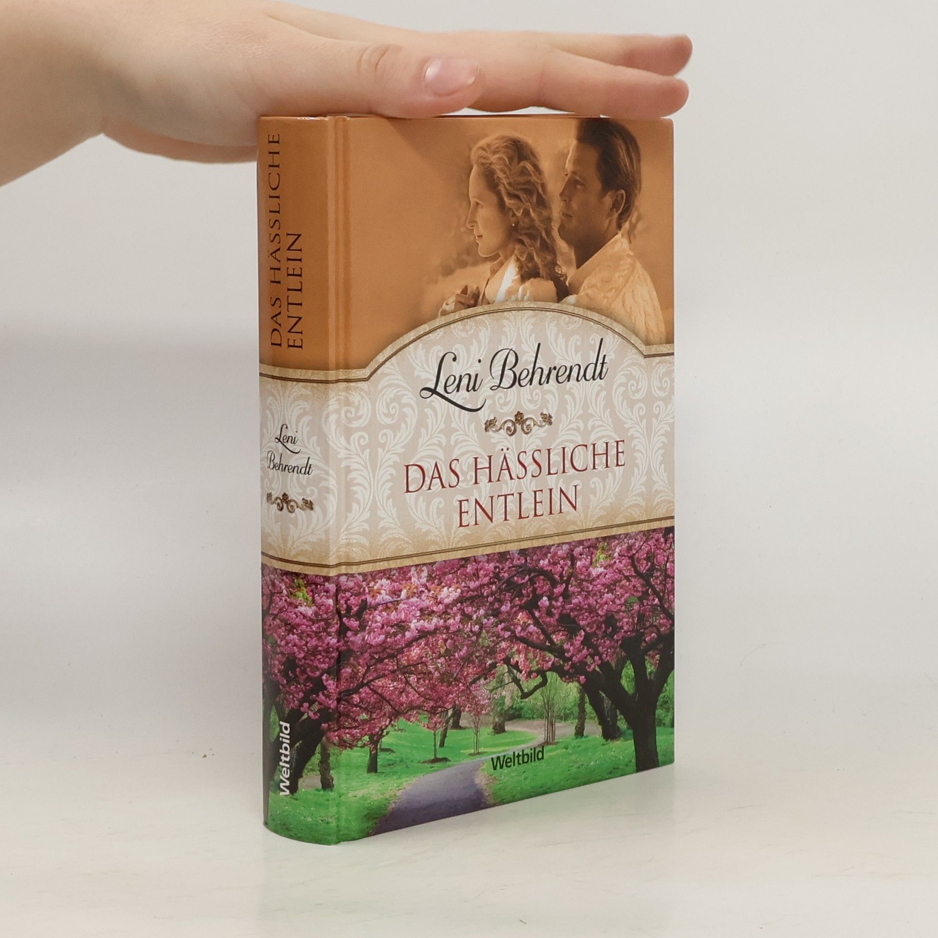 Das hässliche Entlein