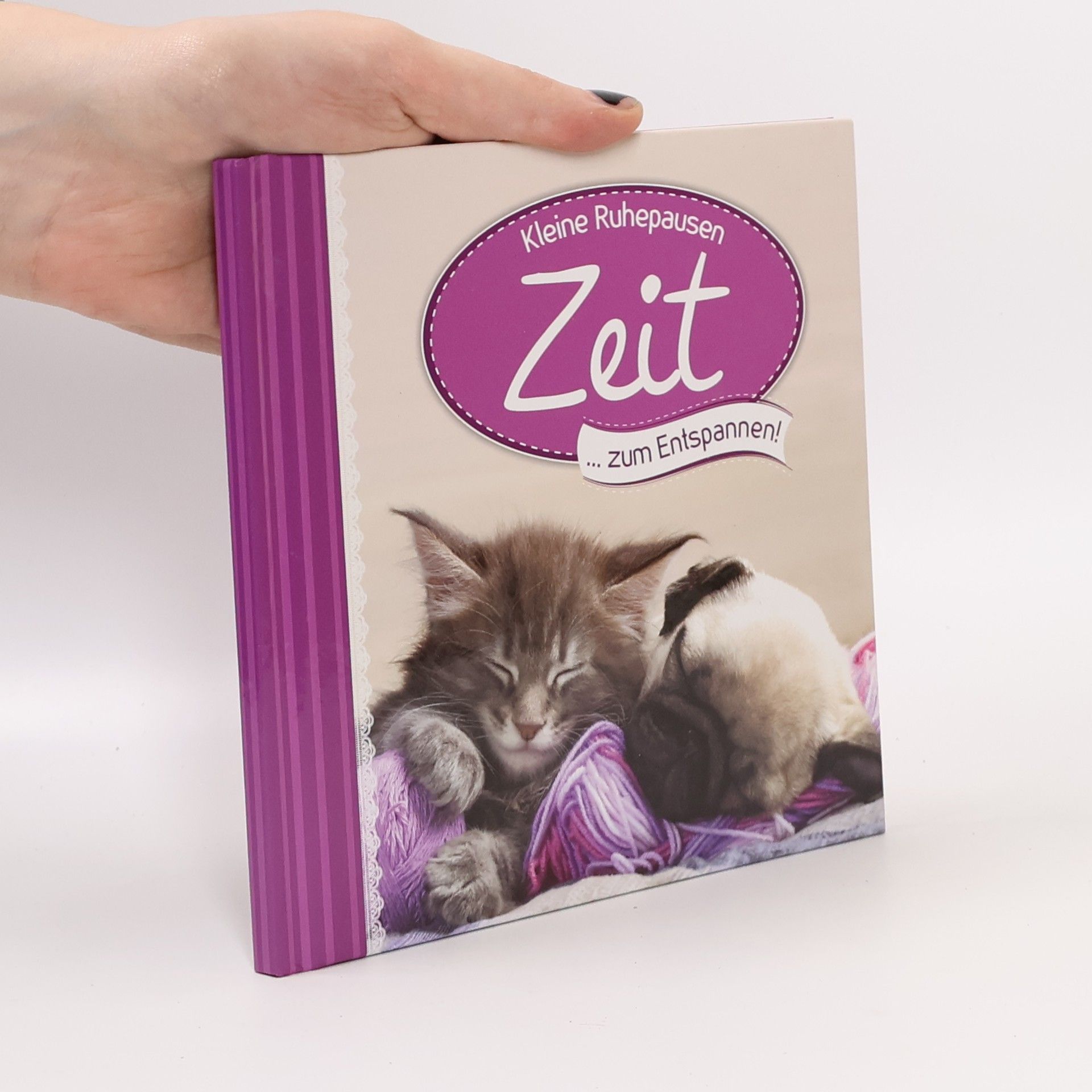 Autorenkollektiv Kleine Ruhepausen Zeit zum Entspannen!