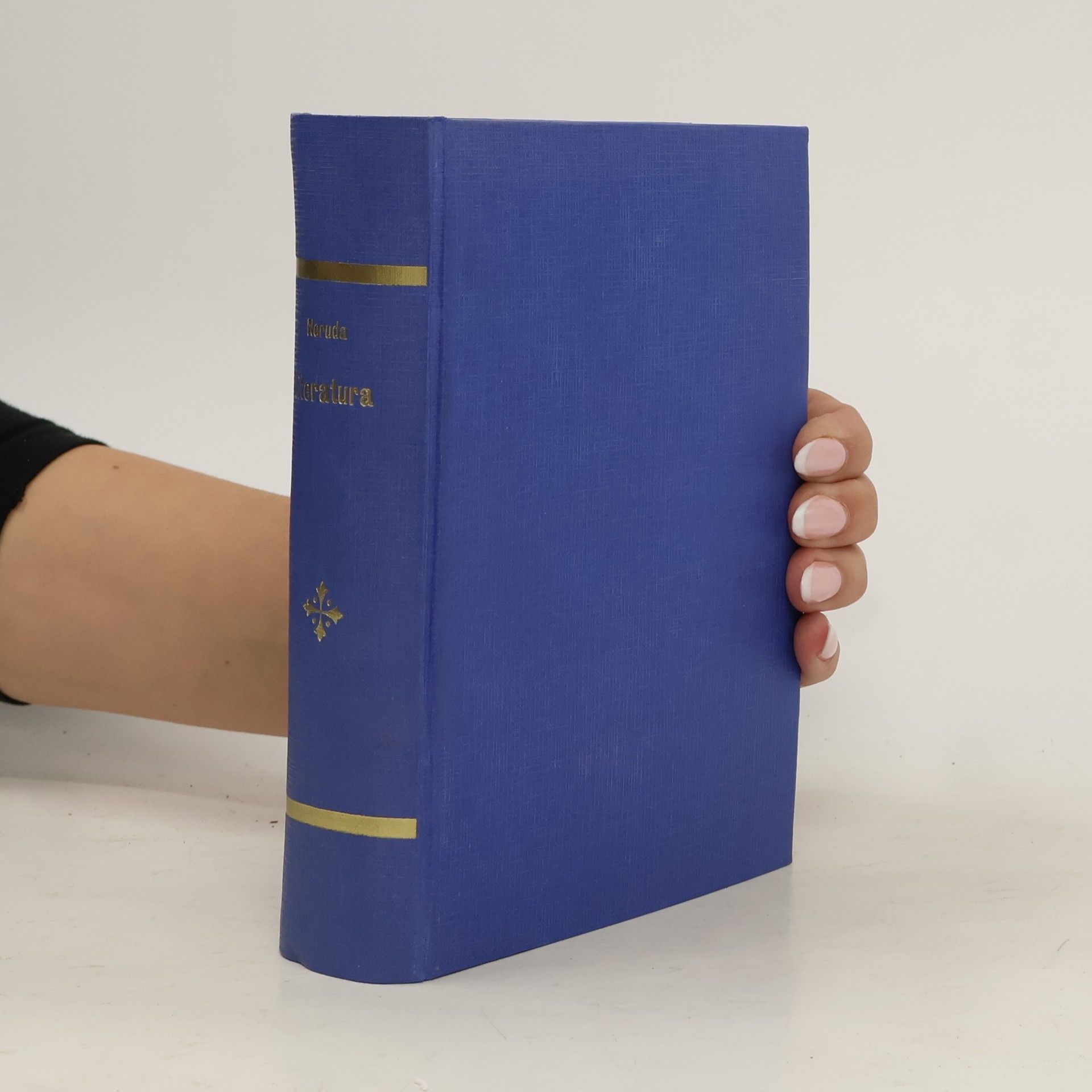 Jan Neruda Dílo Jana Nerudy XXIV: Literatura I. do konce let šedesátých