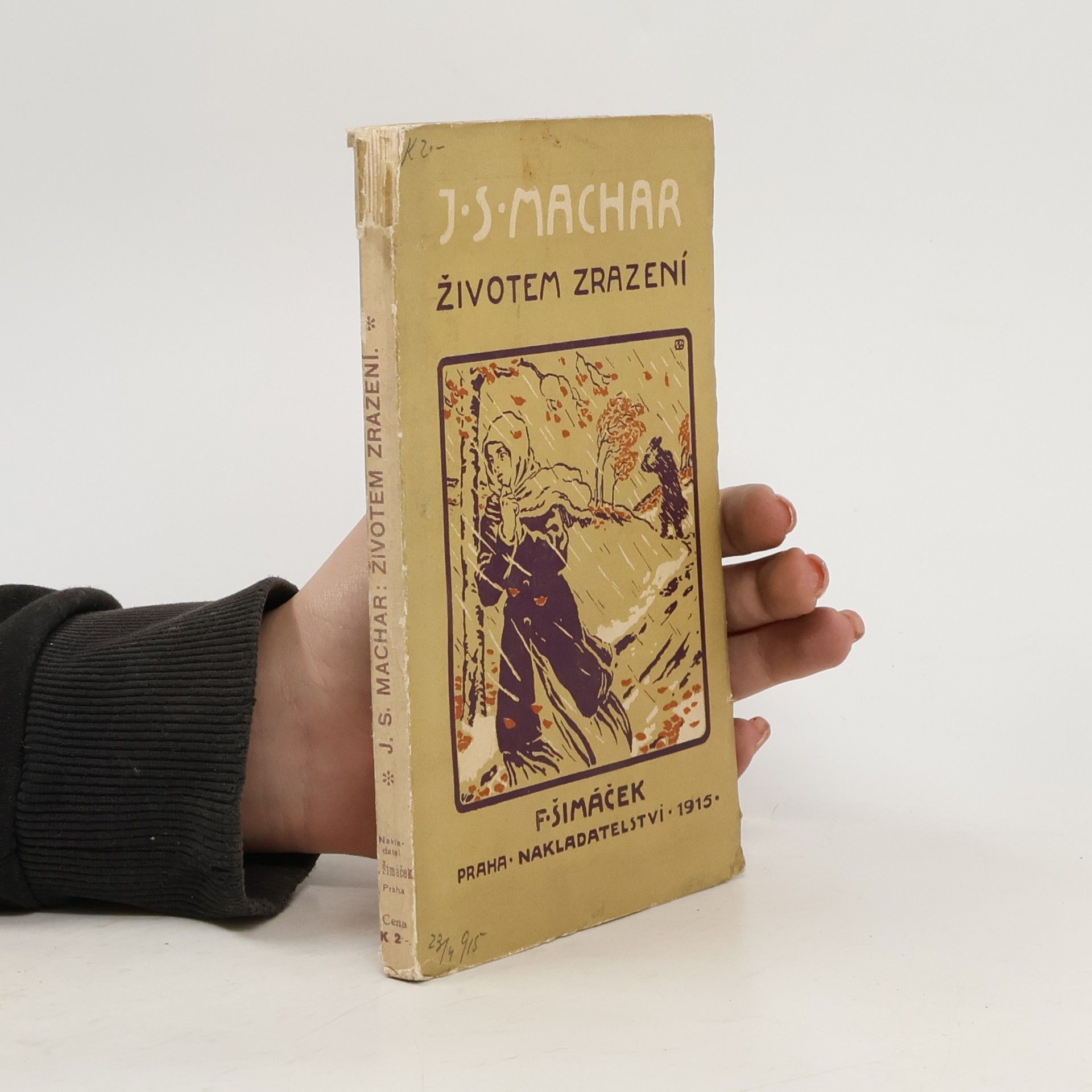 Josef Svatopluk Machar Životem zrazení