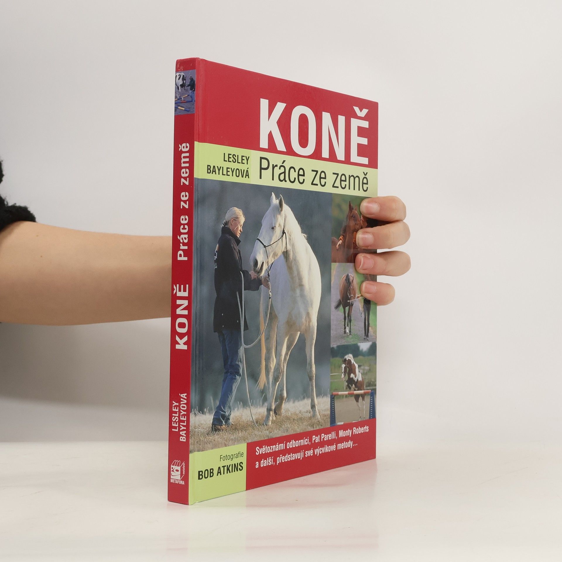 Koně. Práce ze země