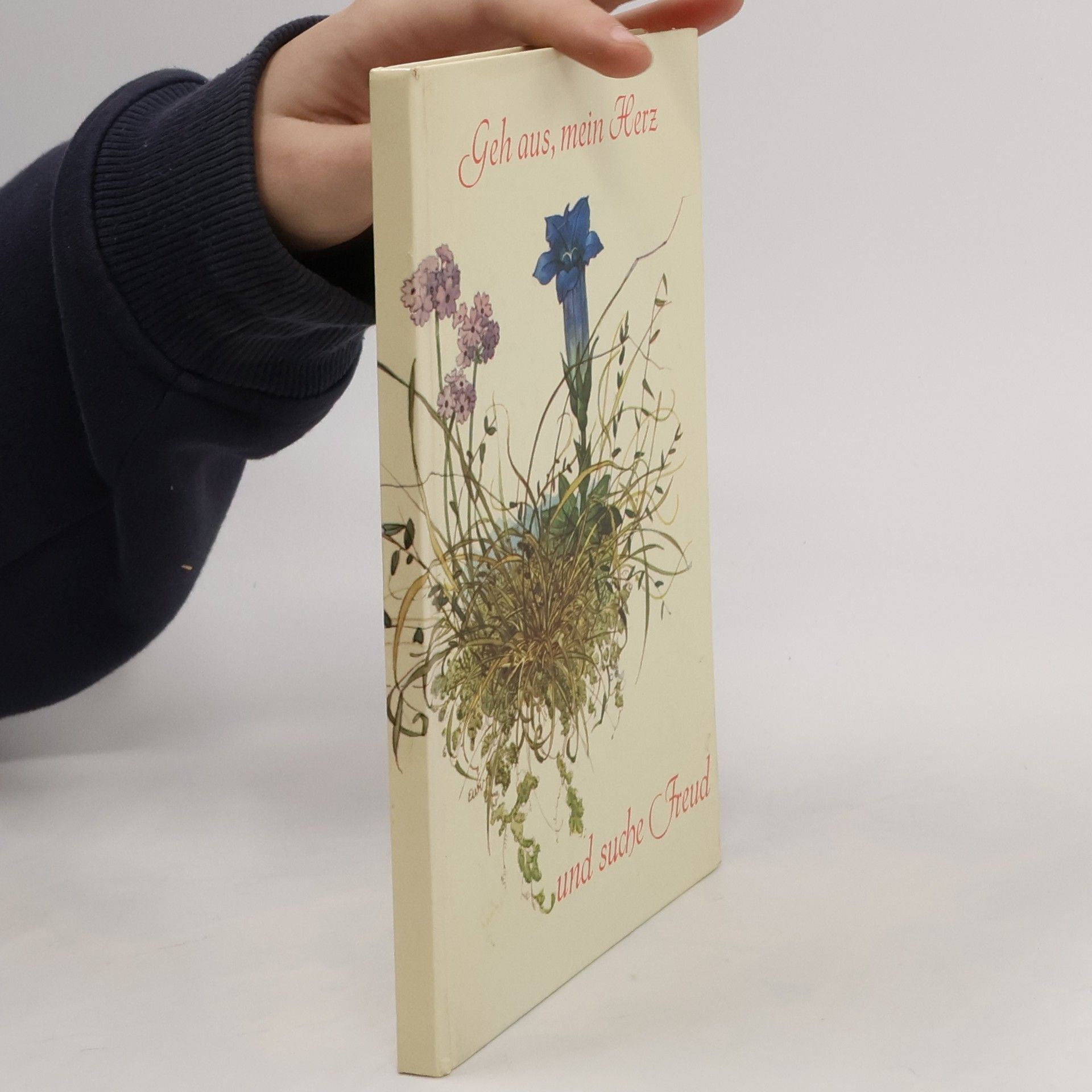 Kolektív autorov Geh aus mein Herz und suche Freud