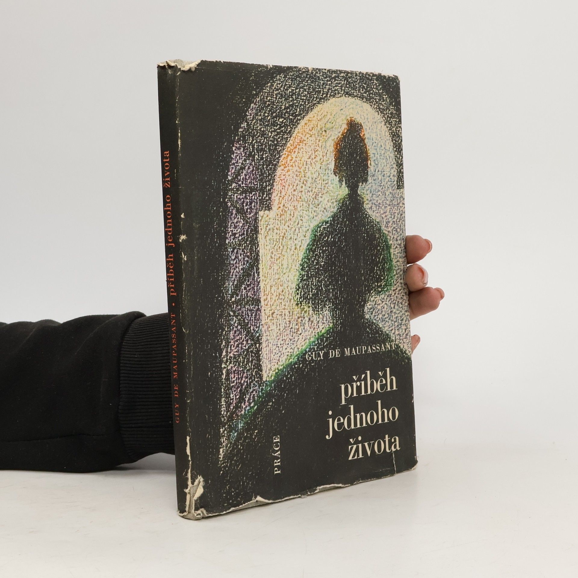 Guy de Maupassant Příběh jednoho života