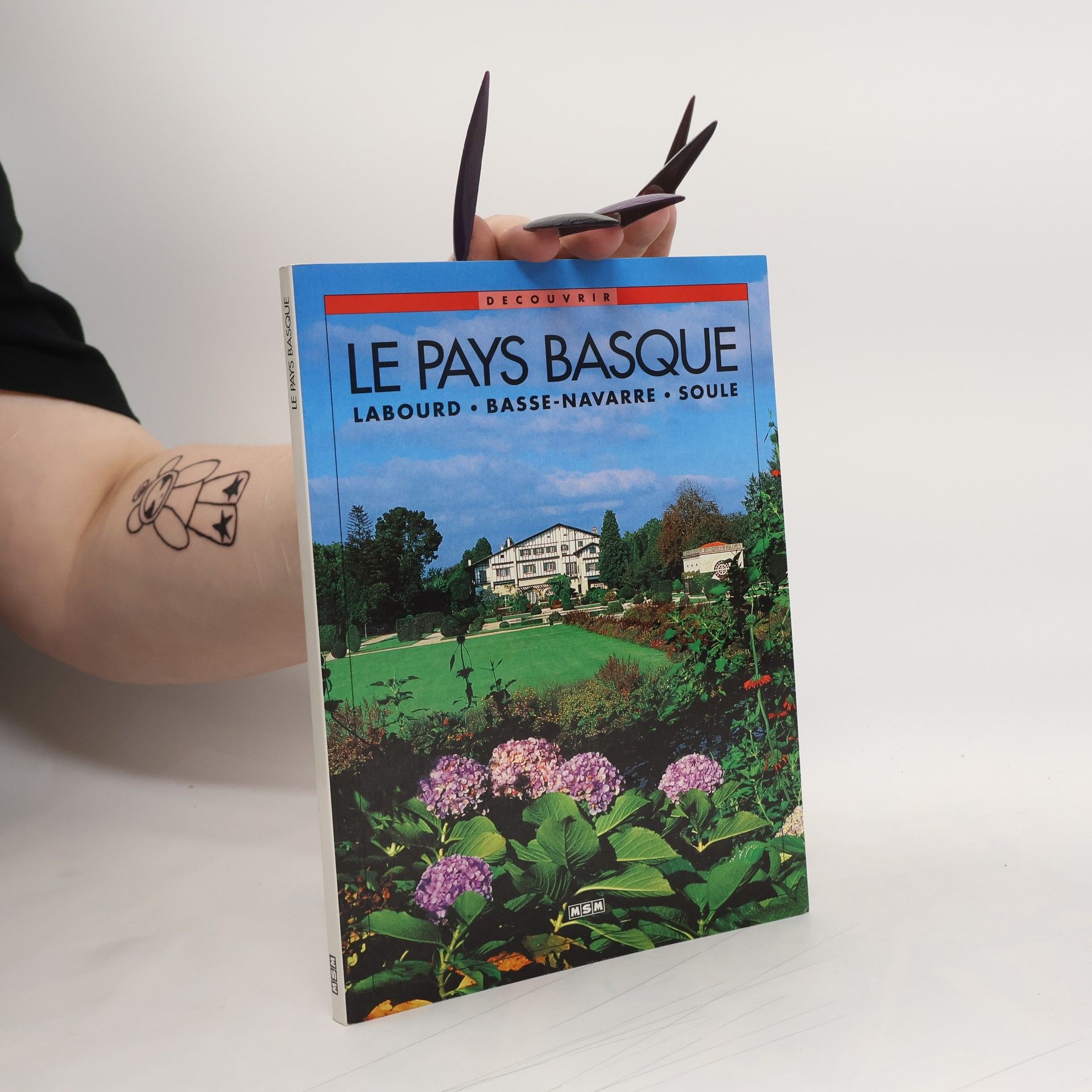 Camille Fambon Le pays Basque