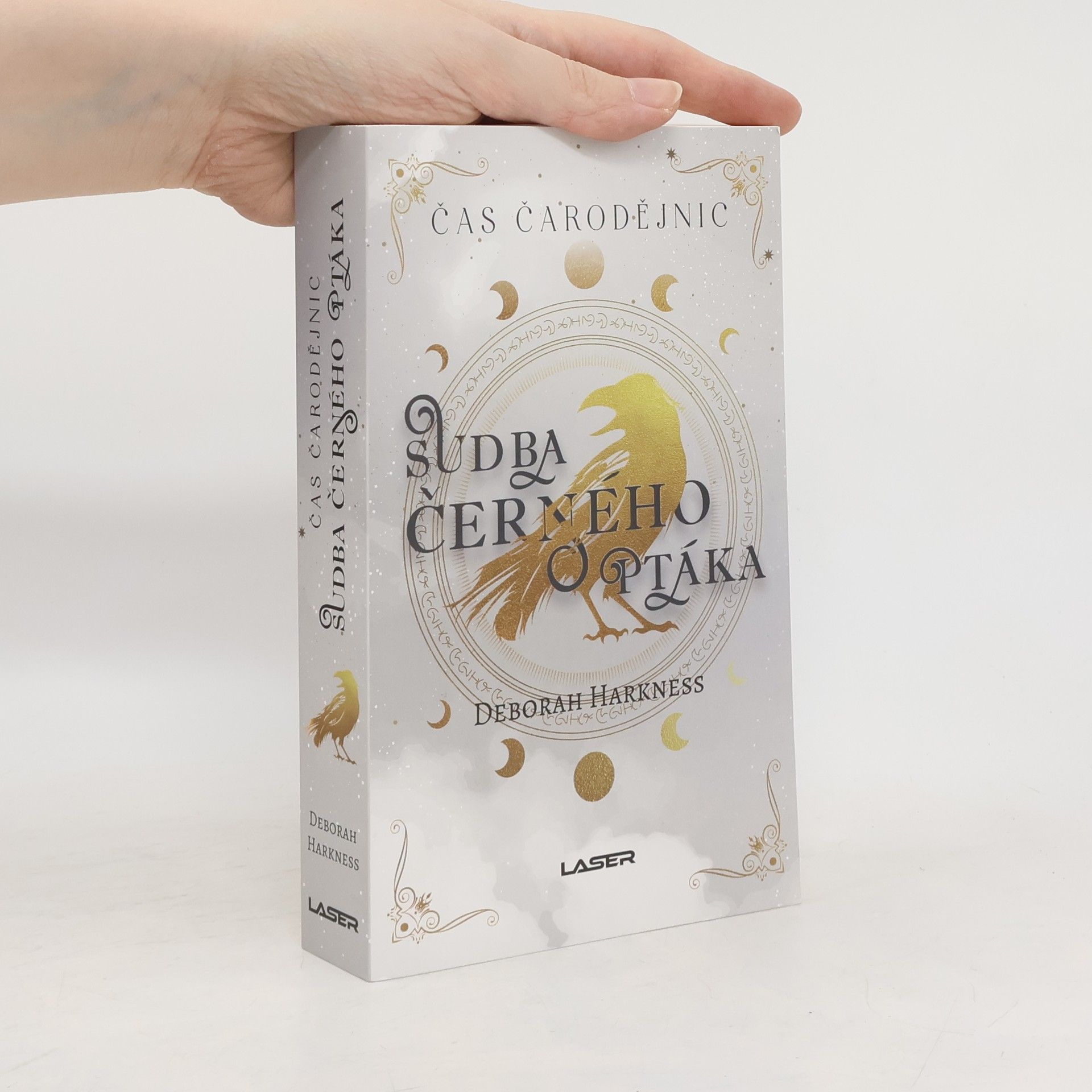 Sudba černého ptáka