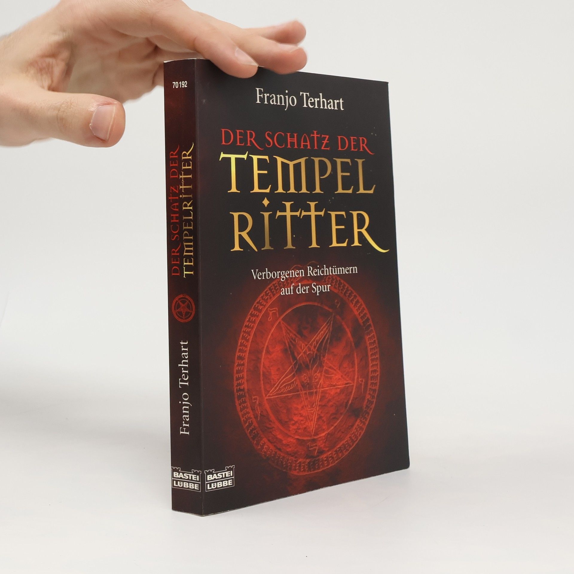 Franjo Terhart Der Schatz der Tempelritter