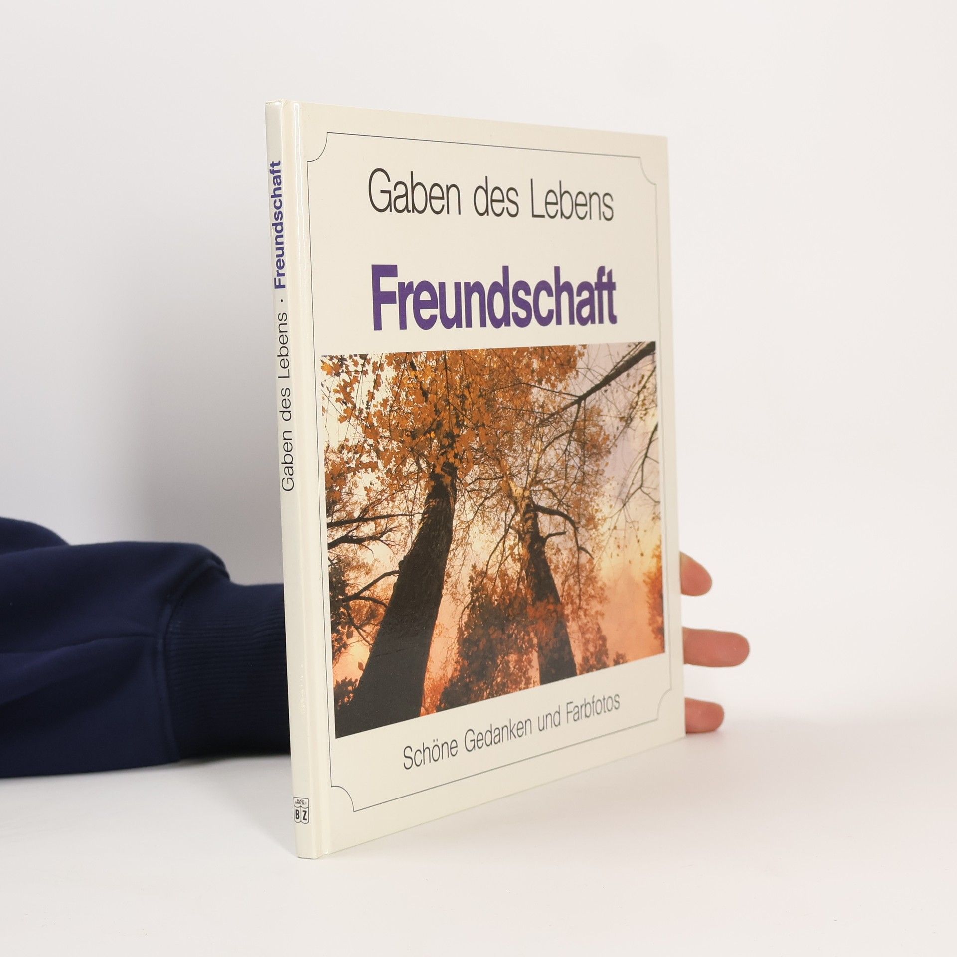Collectif d'auteurs Gaben des Lebens - Freundschaft
