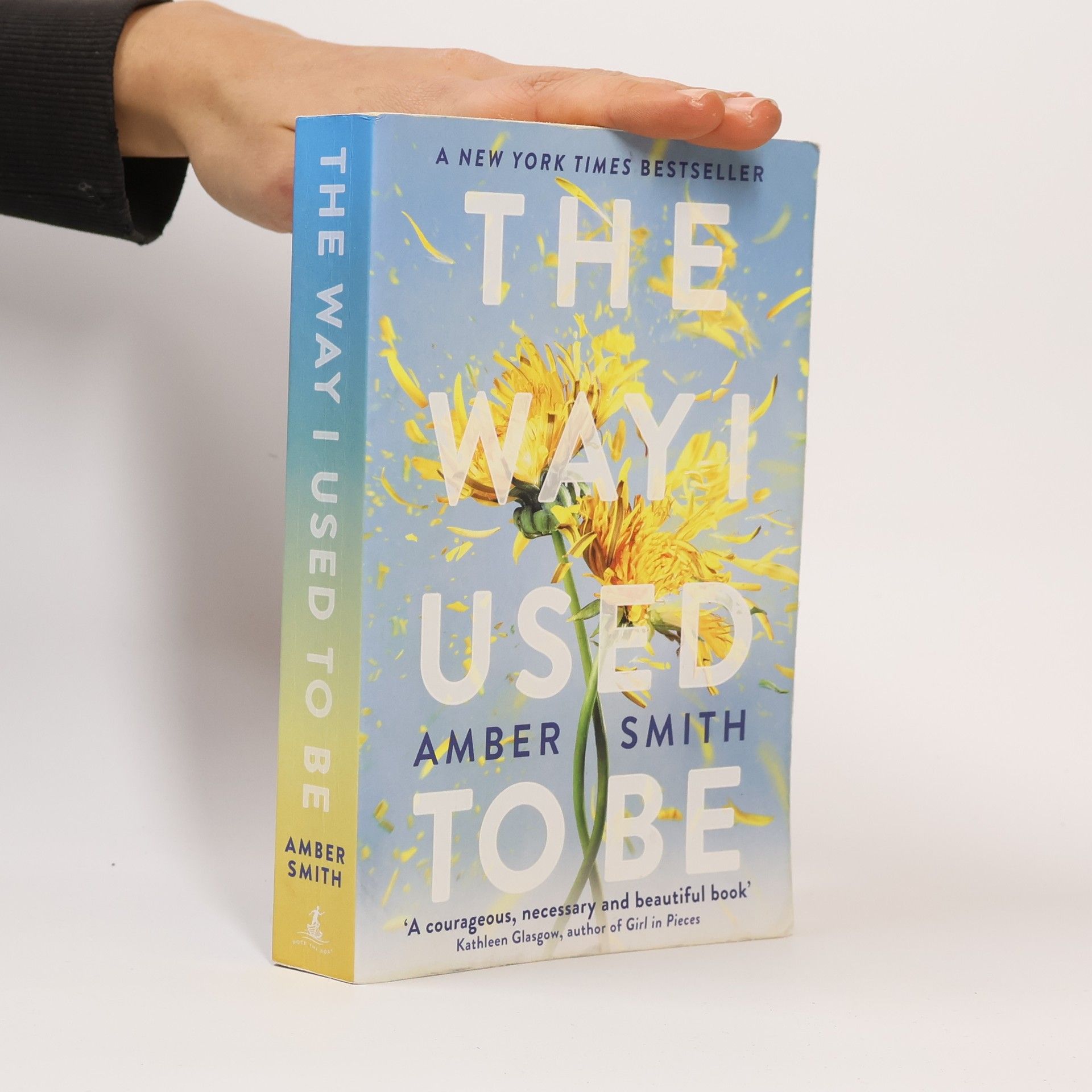 Amber Smith The way I used to be