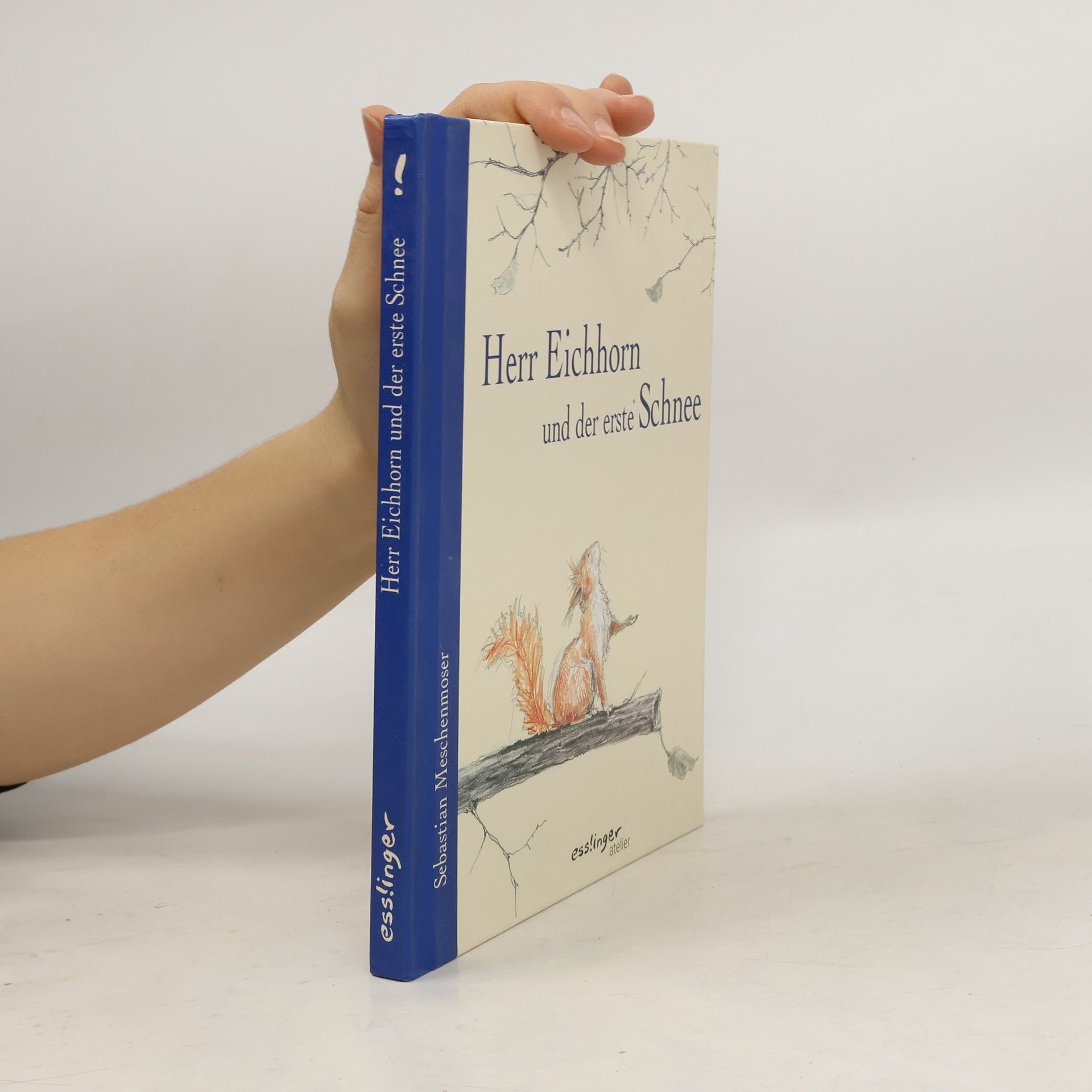 Sebastian Meschenmoser Herr Eichhorn und der erste Schnee