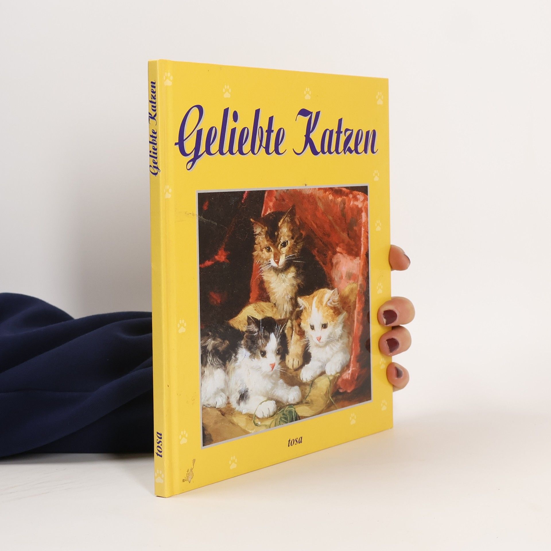 Kolektív autorov Geliebte Katzen