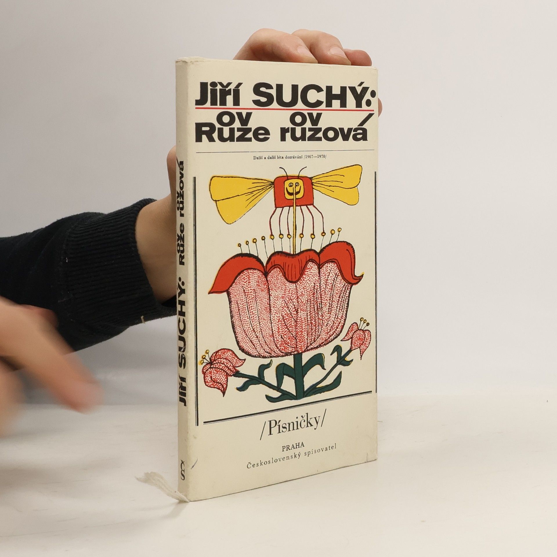 Jiří Suchý Růže růžová