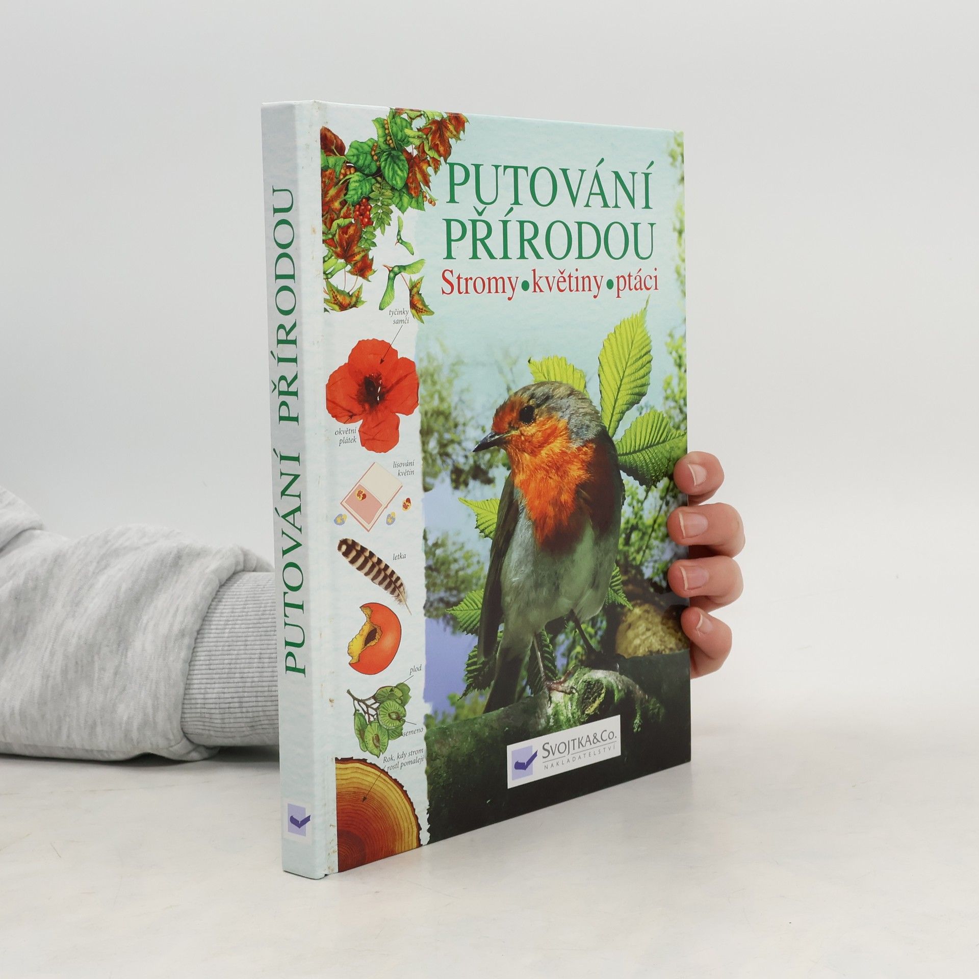 Kolektiv autorů Putování přírodou: Stromy, květiny, ptáci