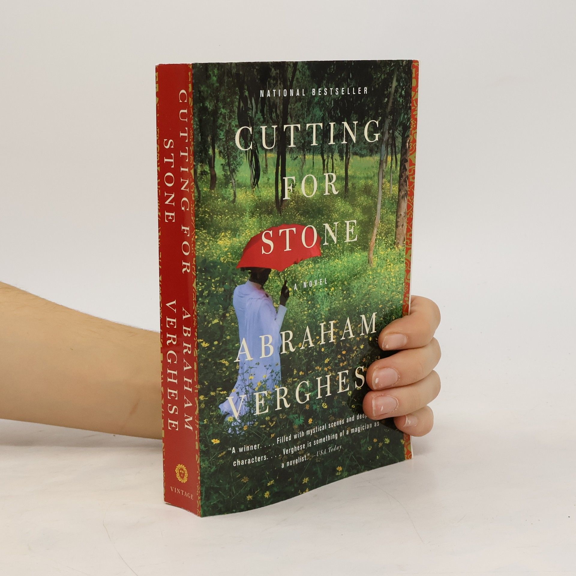 A. (Abraham) Verghese Cutting for Stone