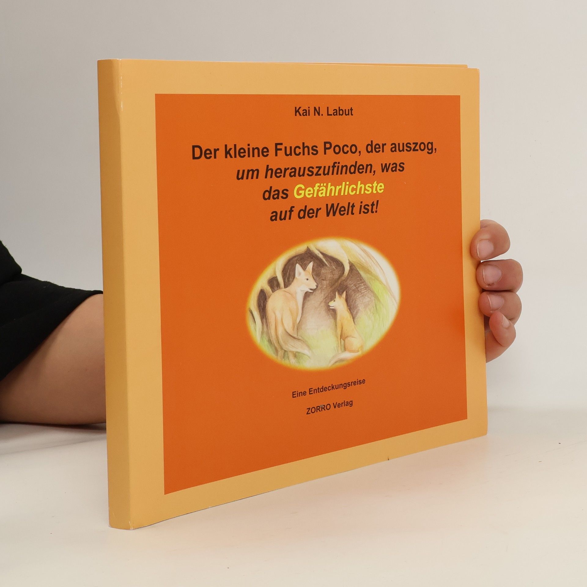 Kai N. Labut Der kleine Fuchs Poco, der auszog um herauszufinden, wo das Gefährlichste auf der Welt ist