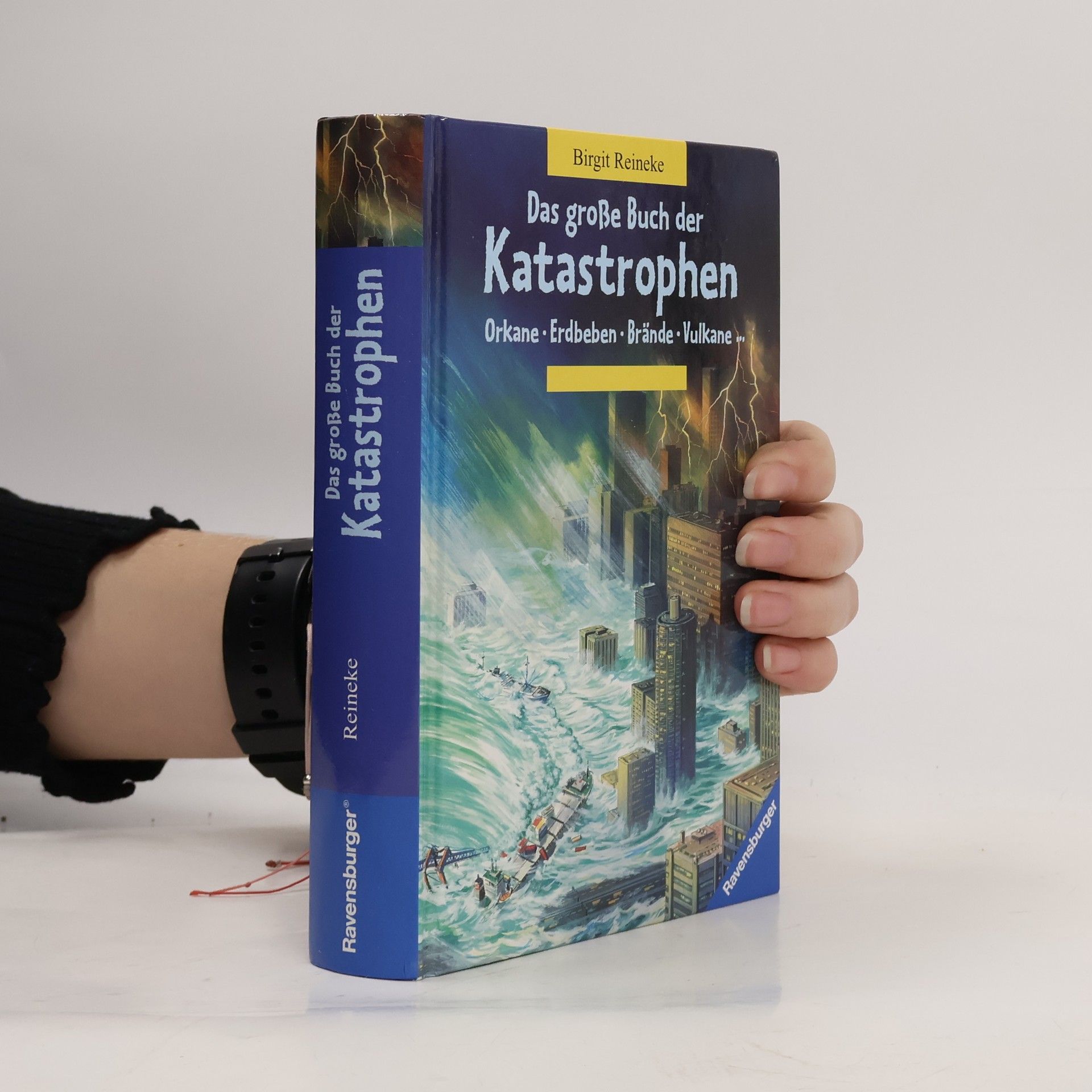 Birgit Reineke Das große Buch der Katastrophen