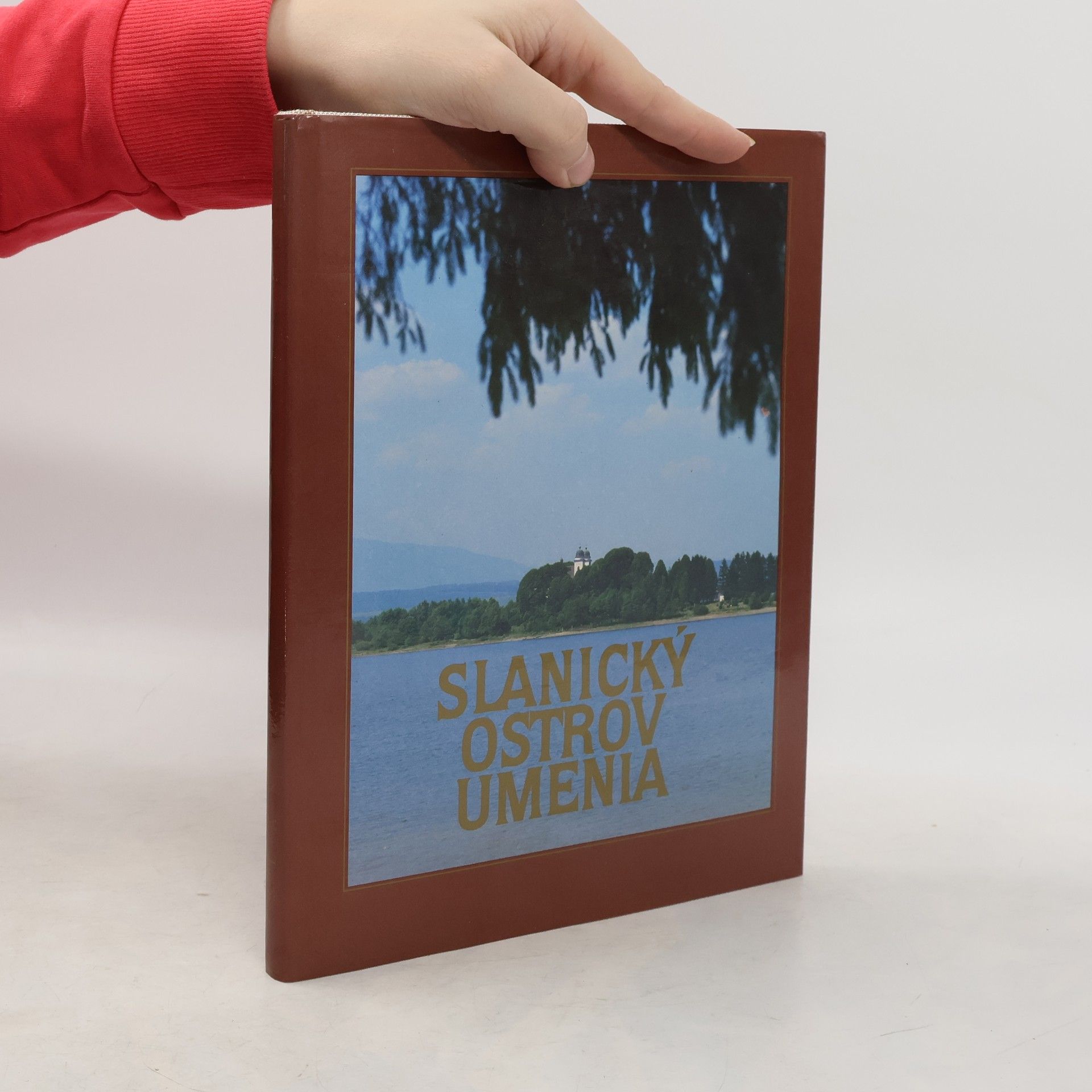 Eva Ľuptáková Slanický ostrov umenia