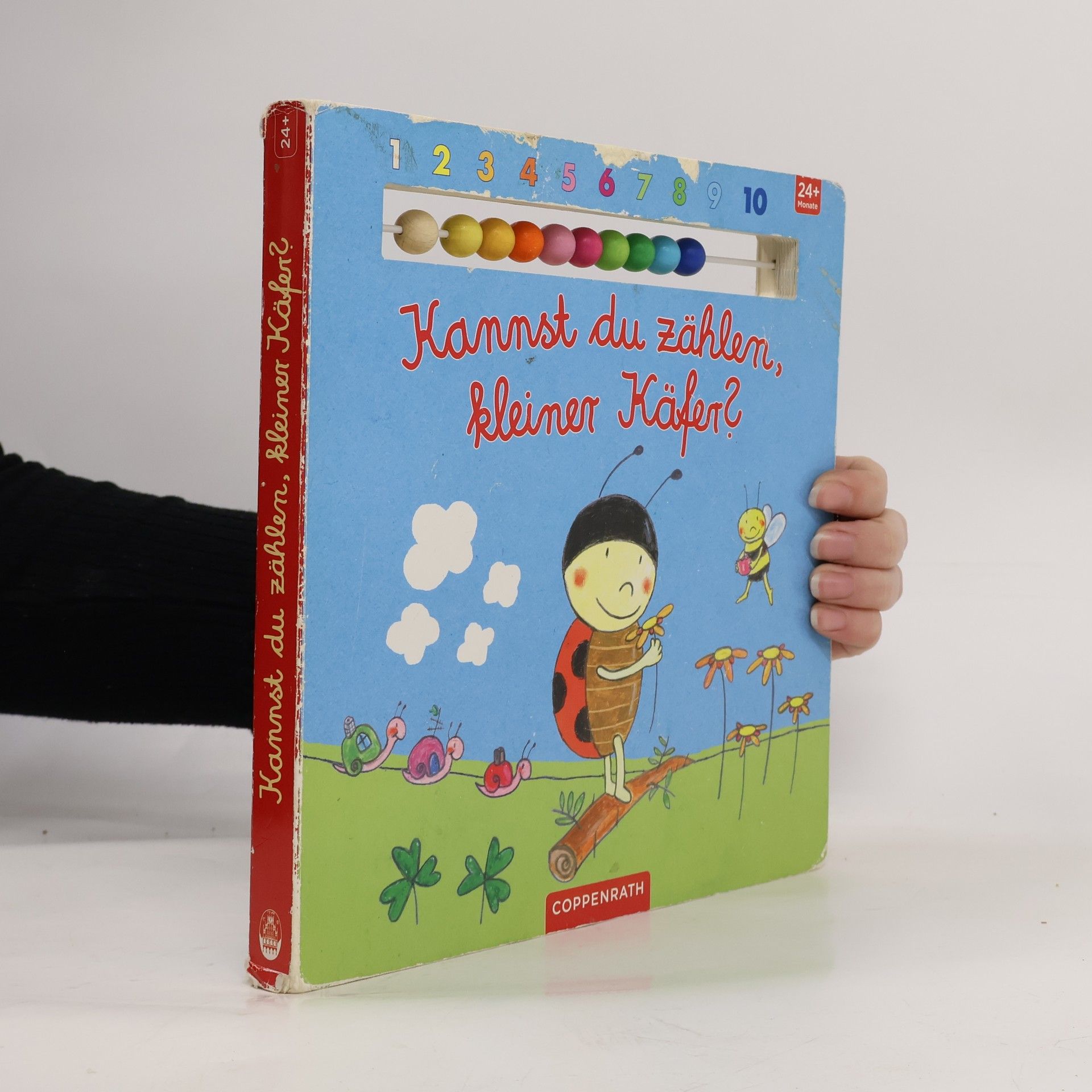 Martina Badstuber Kannst du zählen, kleiner Käfer?