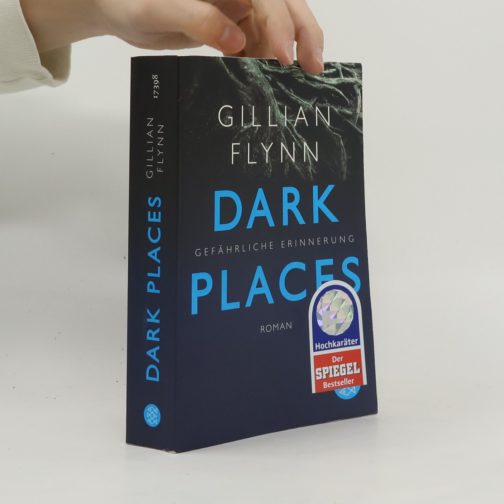 Gillian Flynn Dark Places - Gefährliche Erinnerung