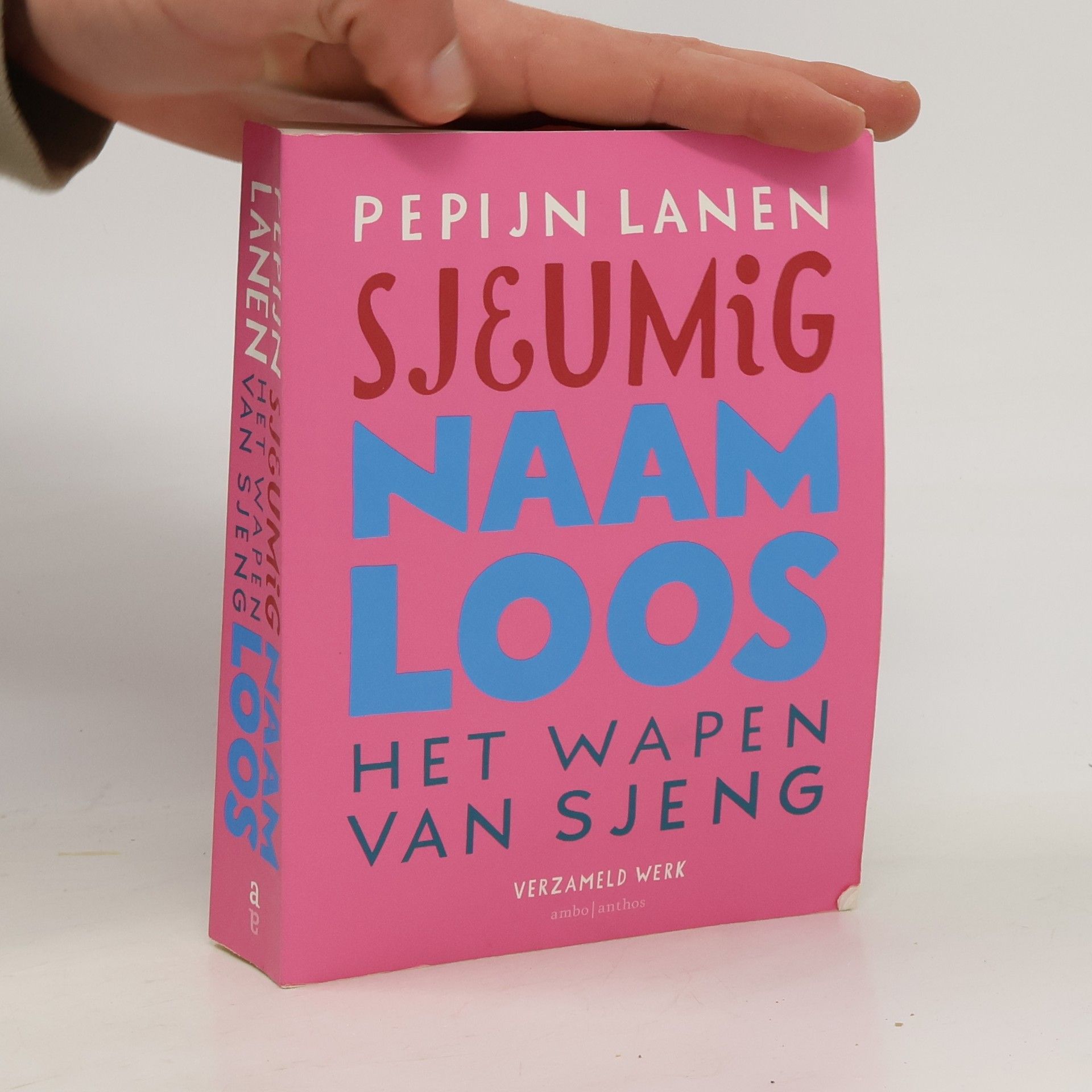 Pepijn Adriaan Lanen Verzameld werk: Sjeumig