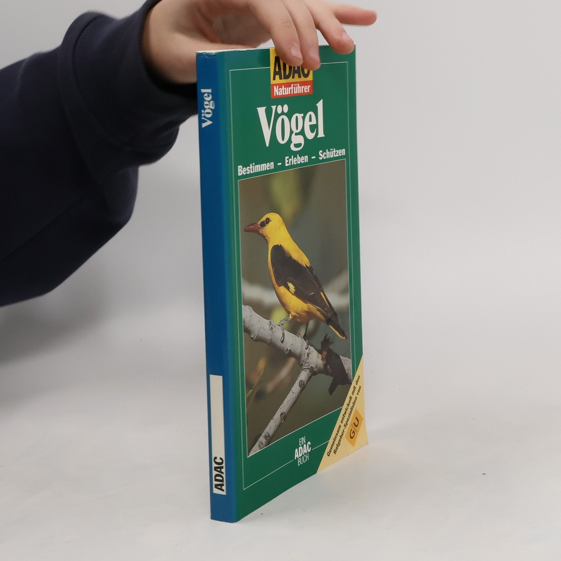 Vögel