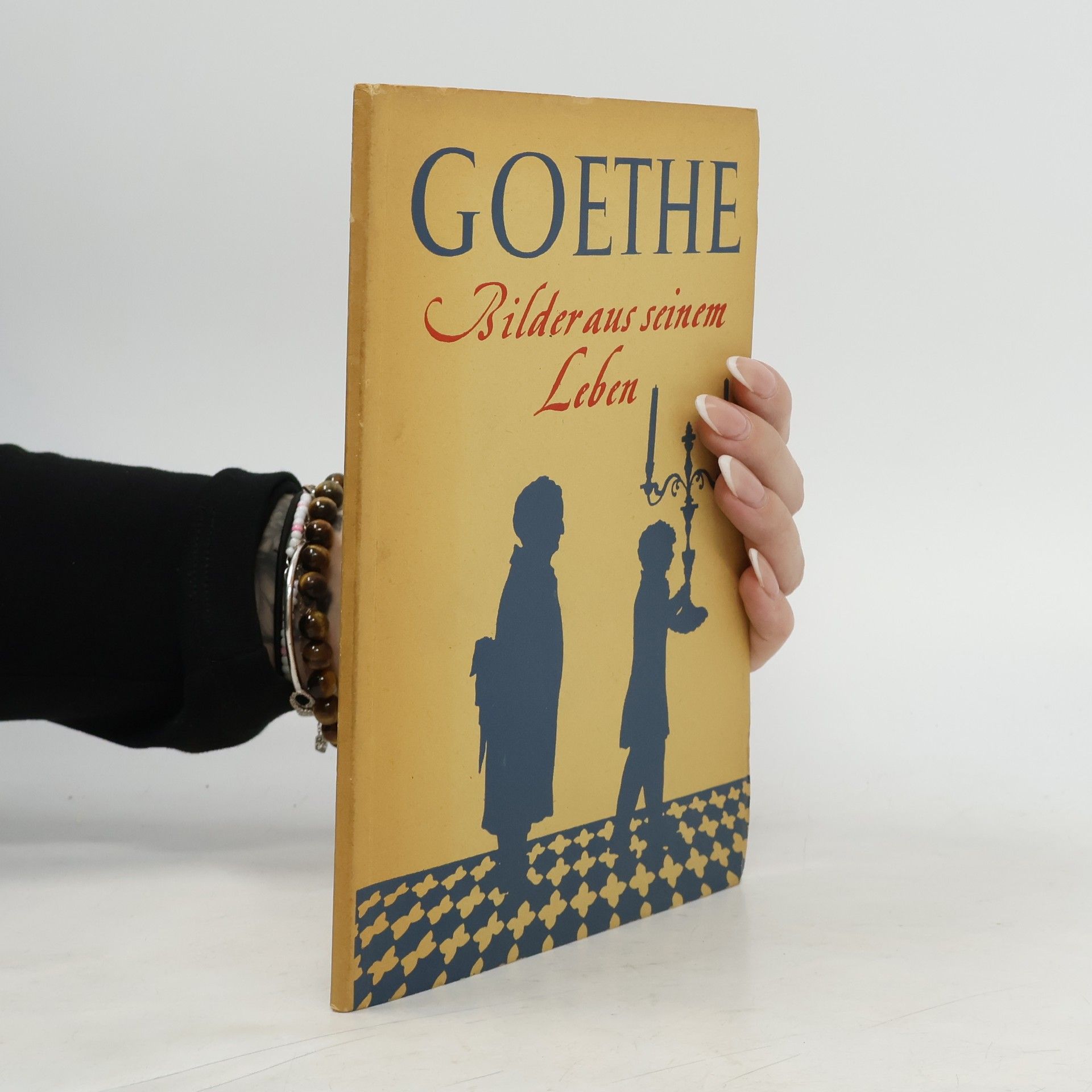 Johann Wolfgang von Goethe Goethe. Bilder aus Seinem Leben